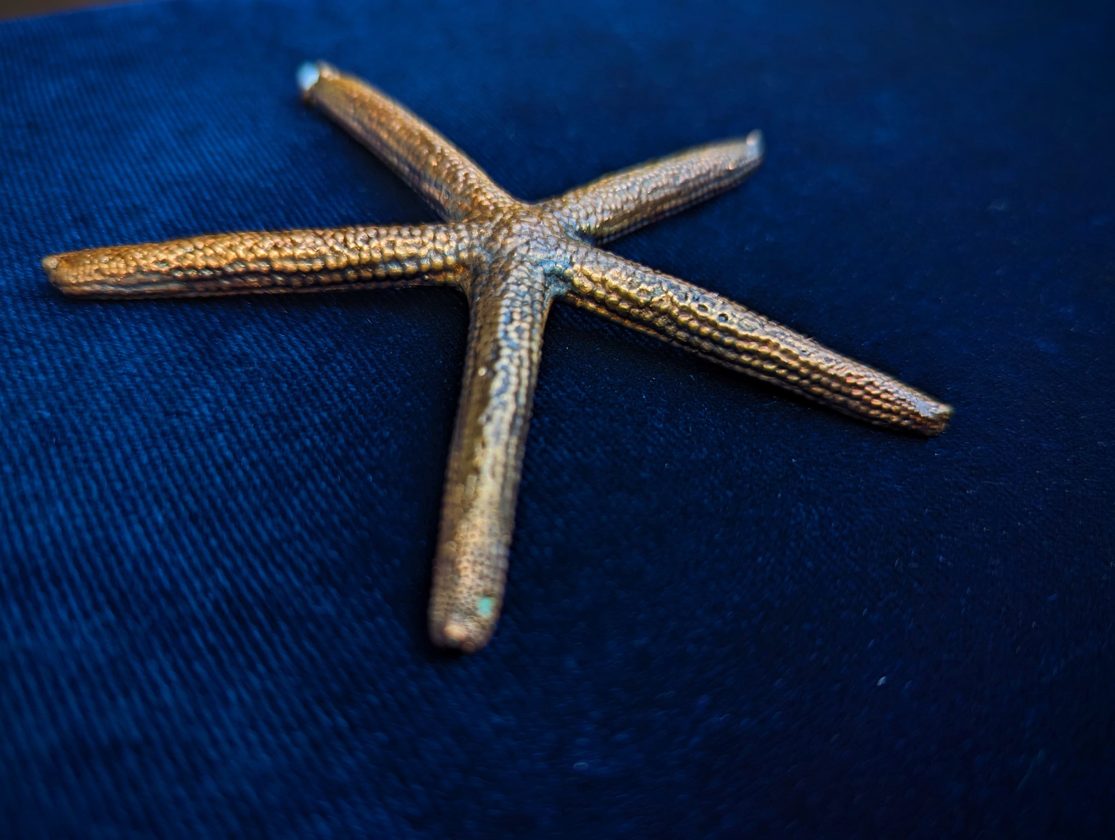 Starfish (pendant only)