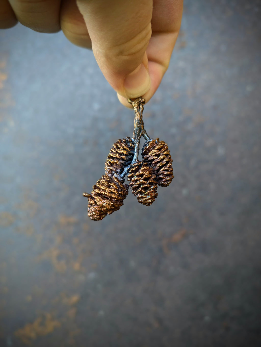Red Alder Cones (pendant only)