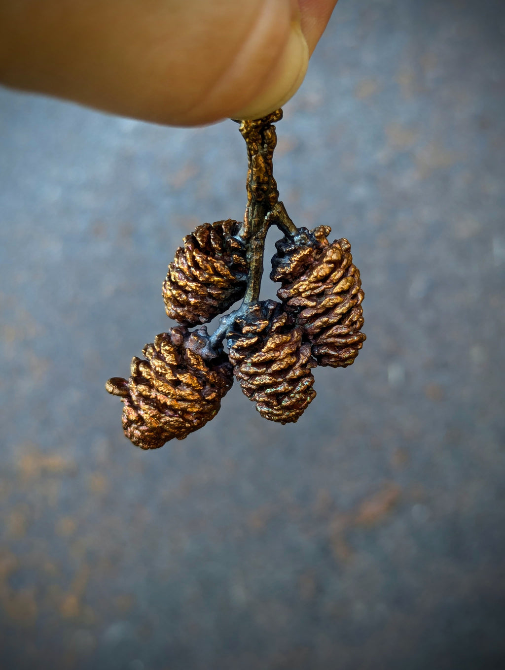 Red Alder Cones (pendant only)