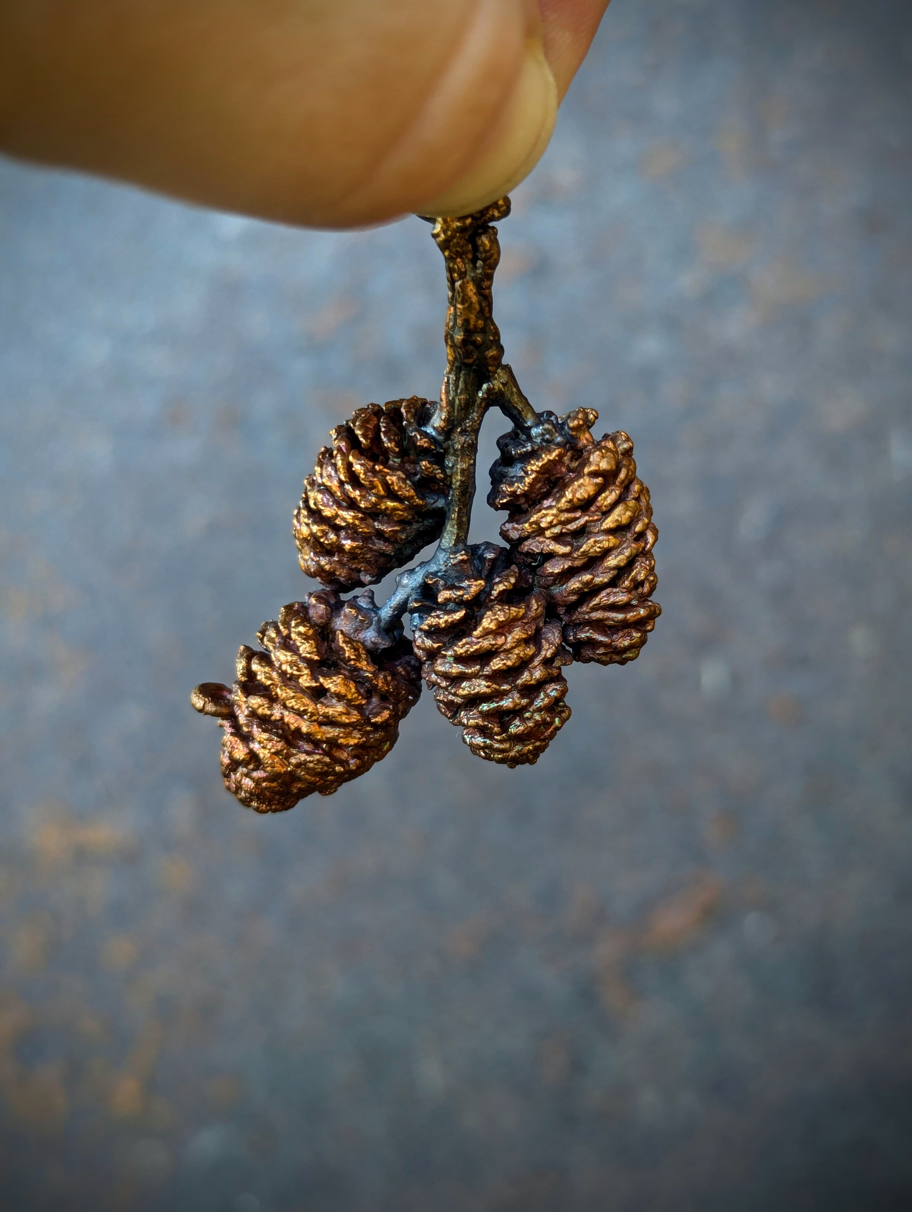 Red Alder Cones (pendant only)