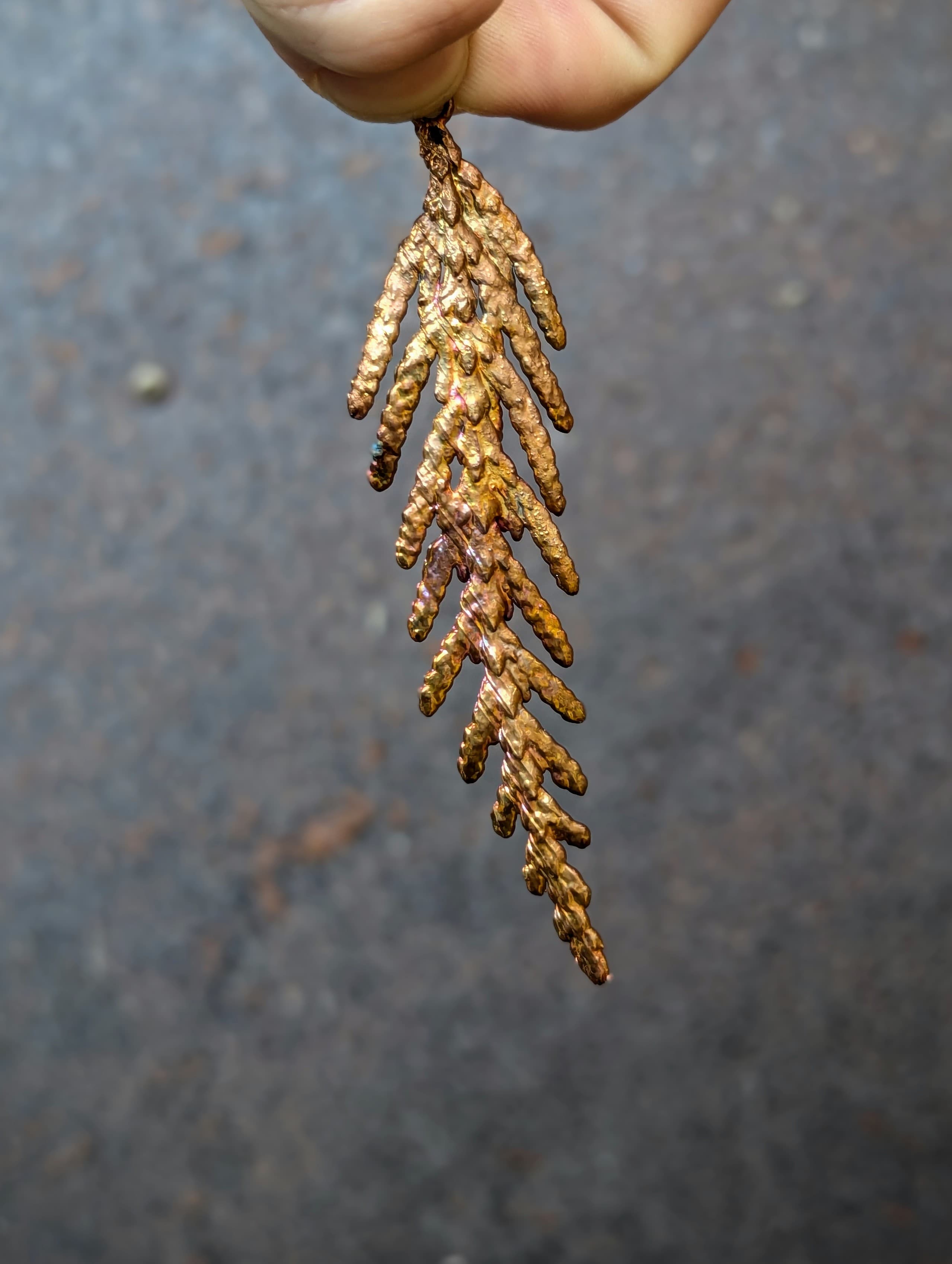 Western Redcedar Necklace (charm only)