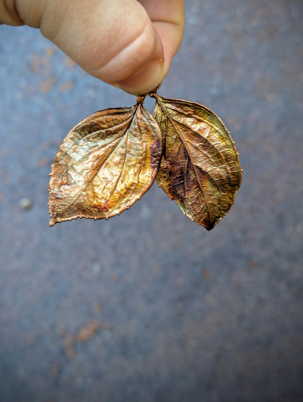 Red Osier Dogwood (charms only)