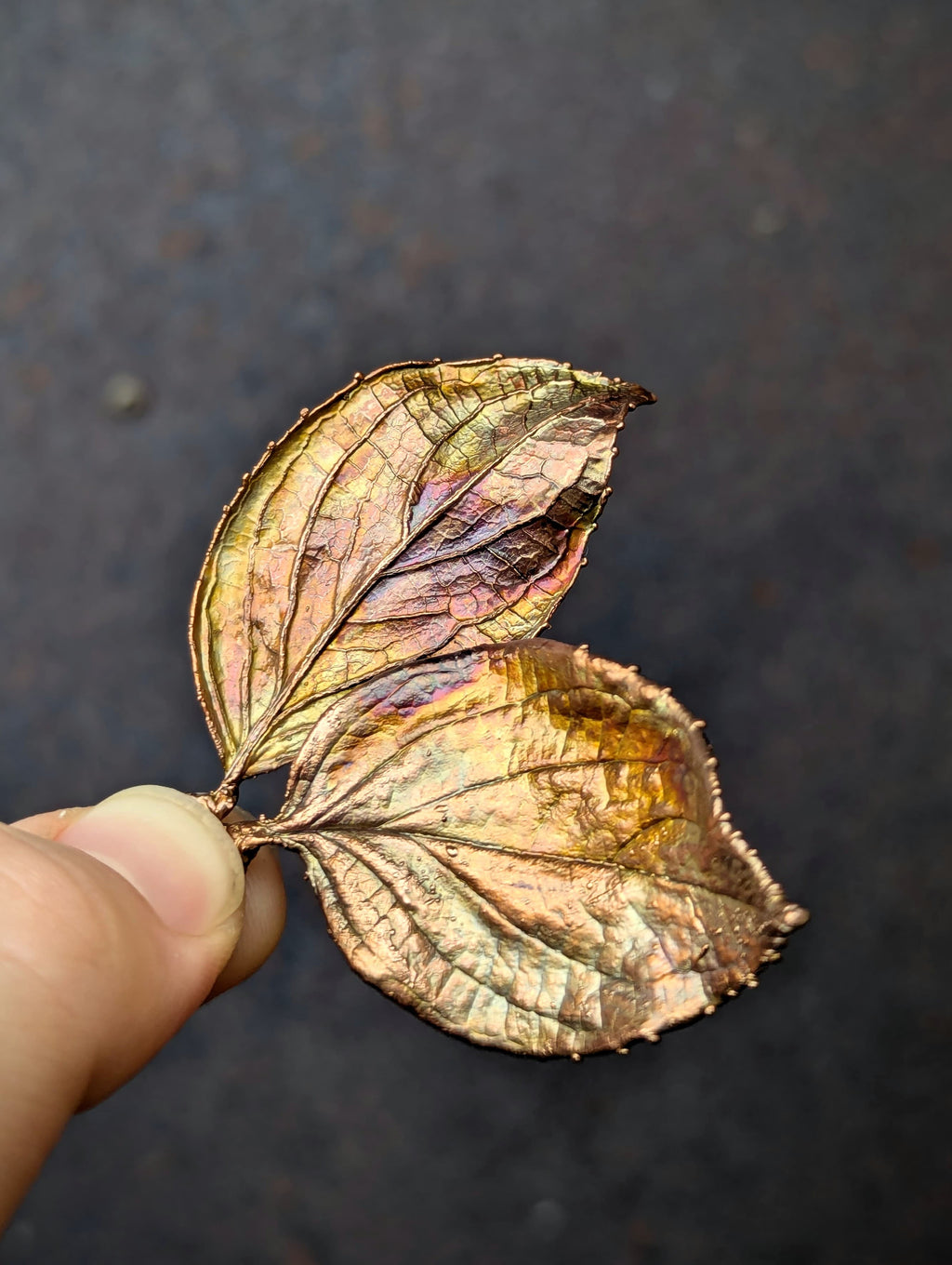 Red Osier Dogwood (charms only)