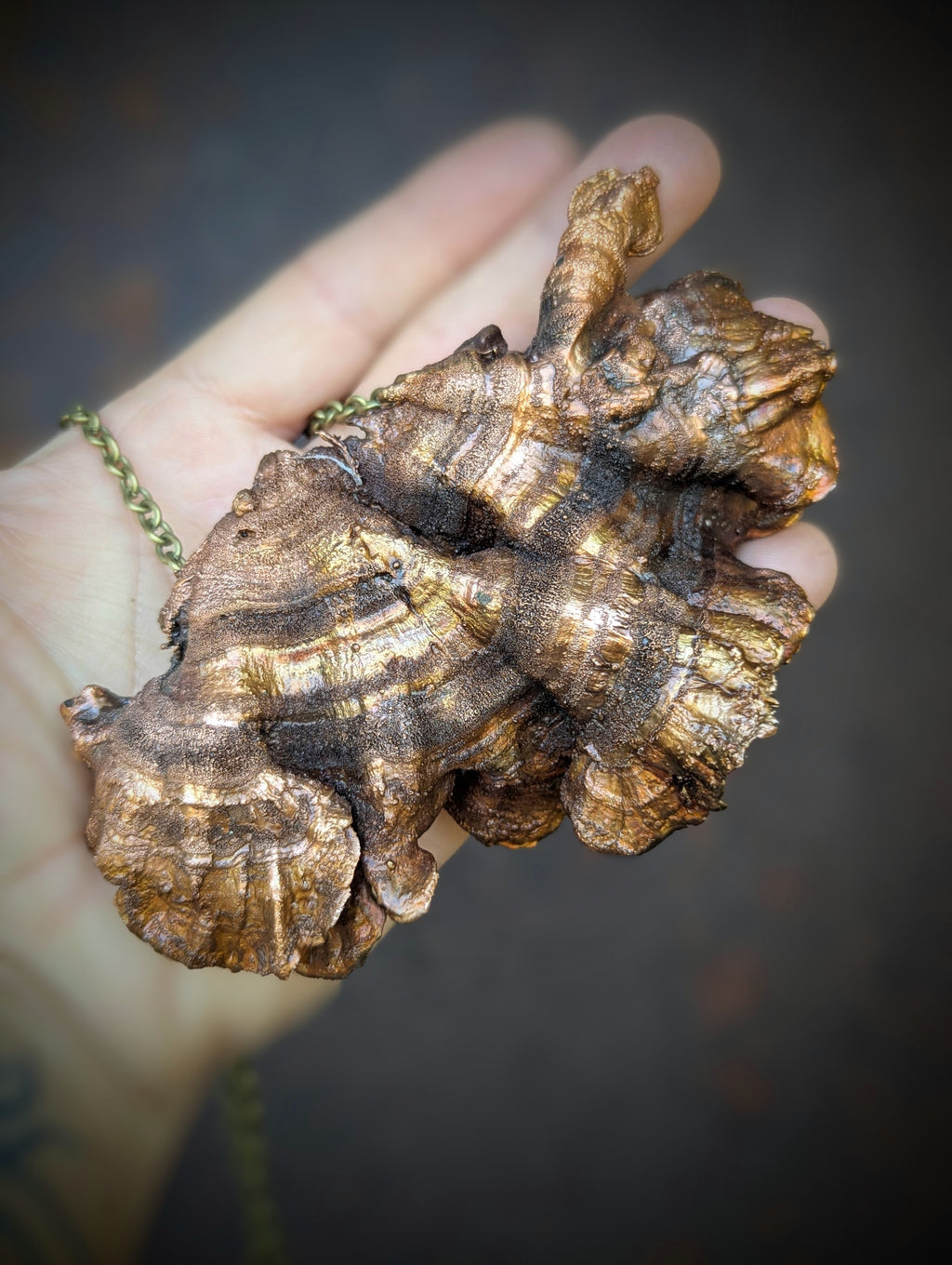 Giant Turkey Tail Mushroom Necklace