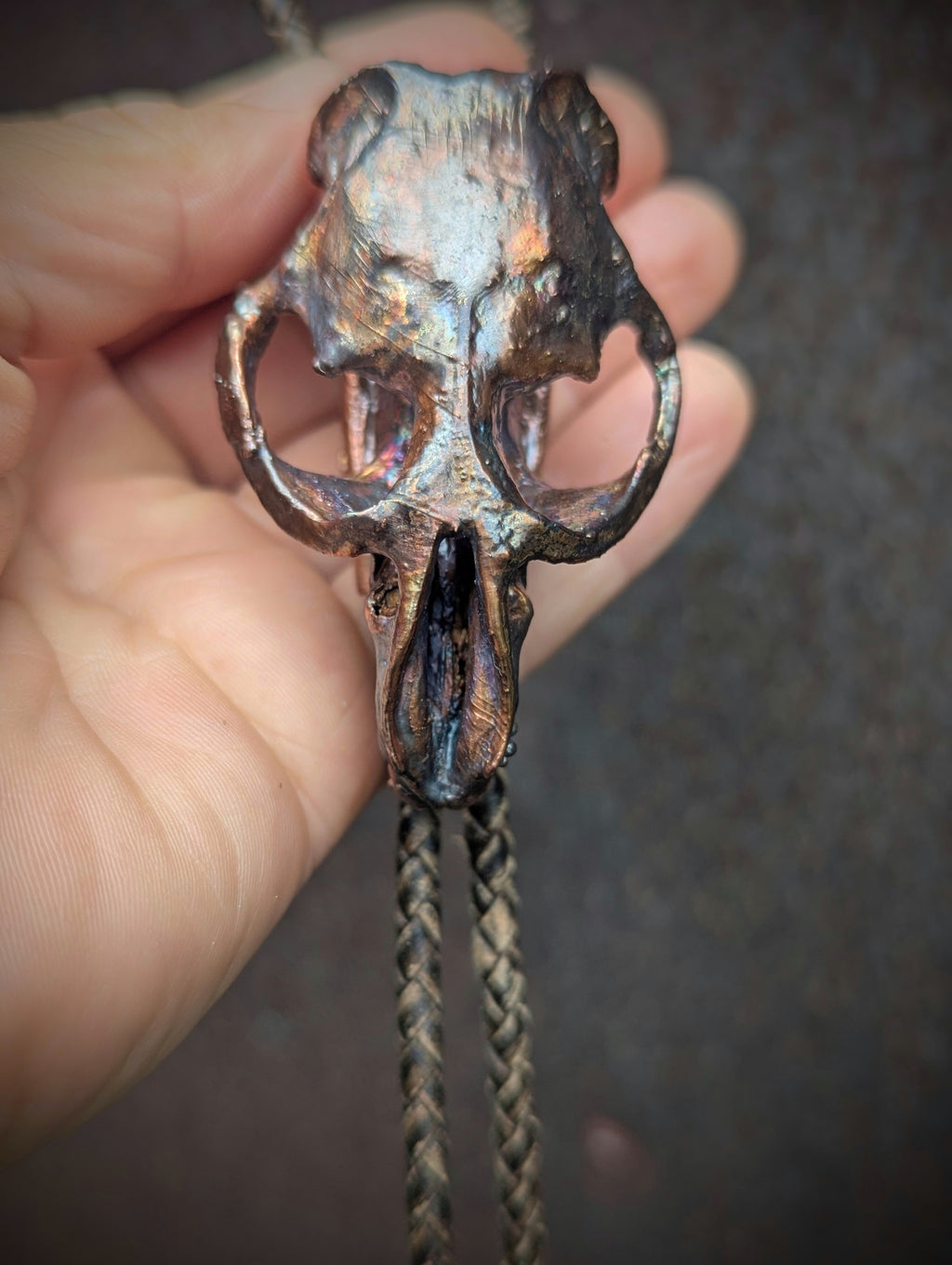 Muskrat Skull Bolo Tie
