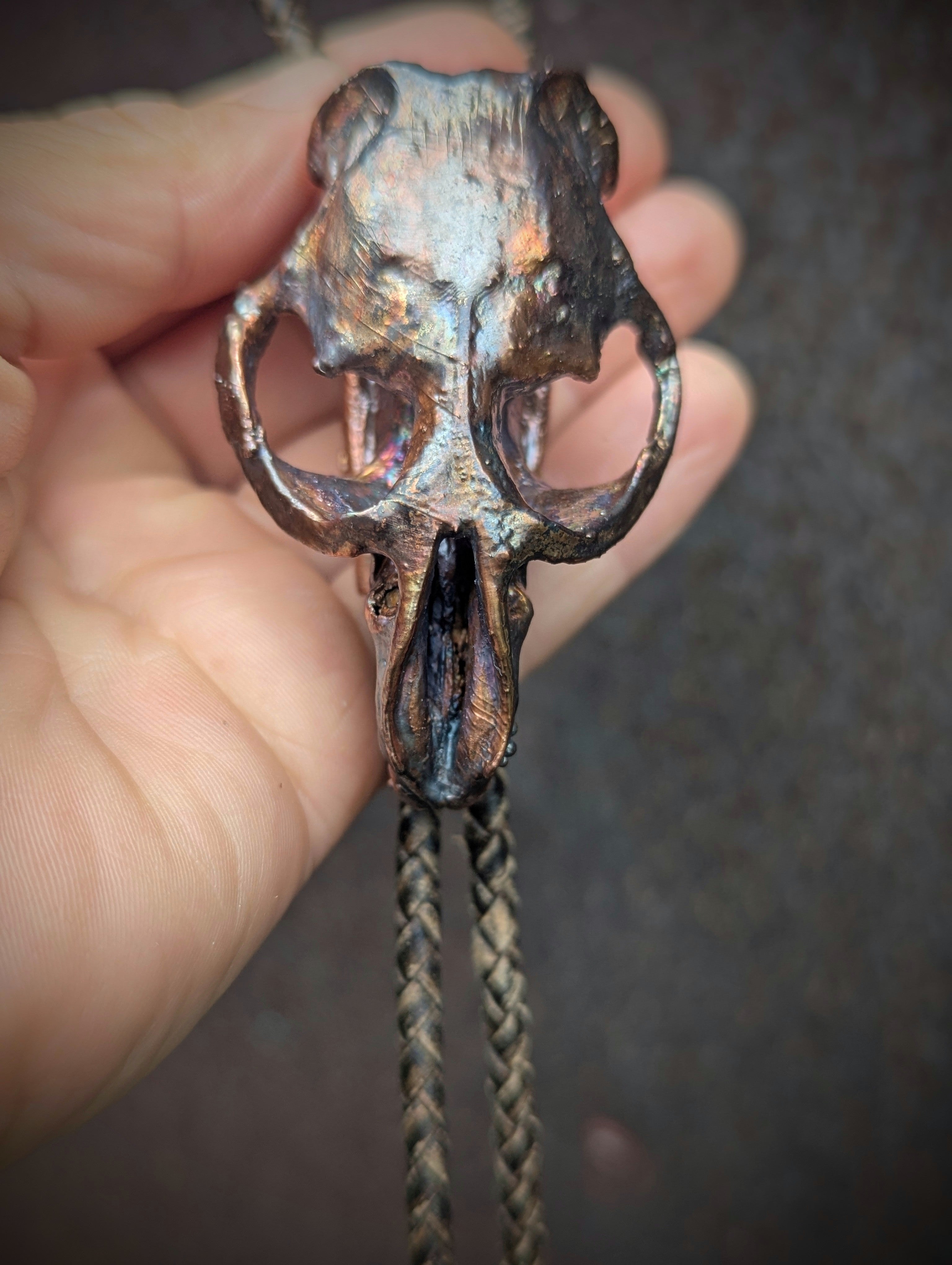 Muskrat Skull Bolo Tie