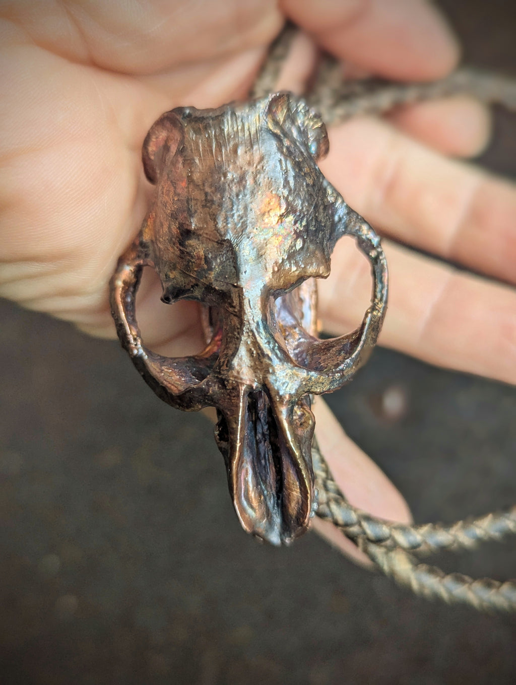 Muskrat Skull Bolo Tie