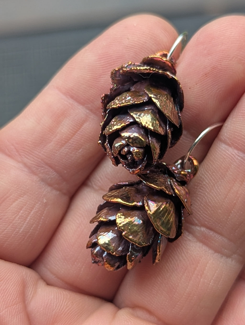 Western Hemlock Cones