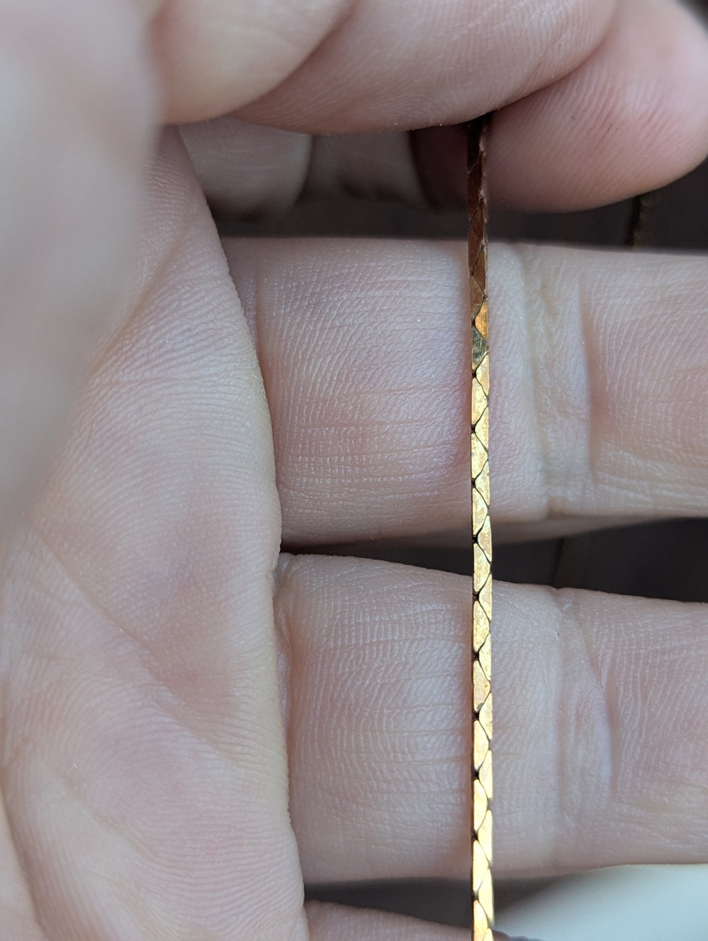 Giant Crayfish Claw (Columbia River)