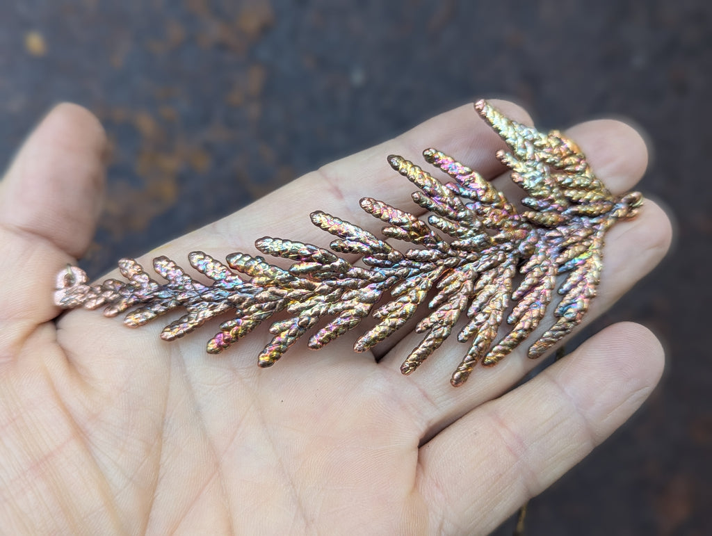 Western Redcedar Necklace