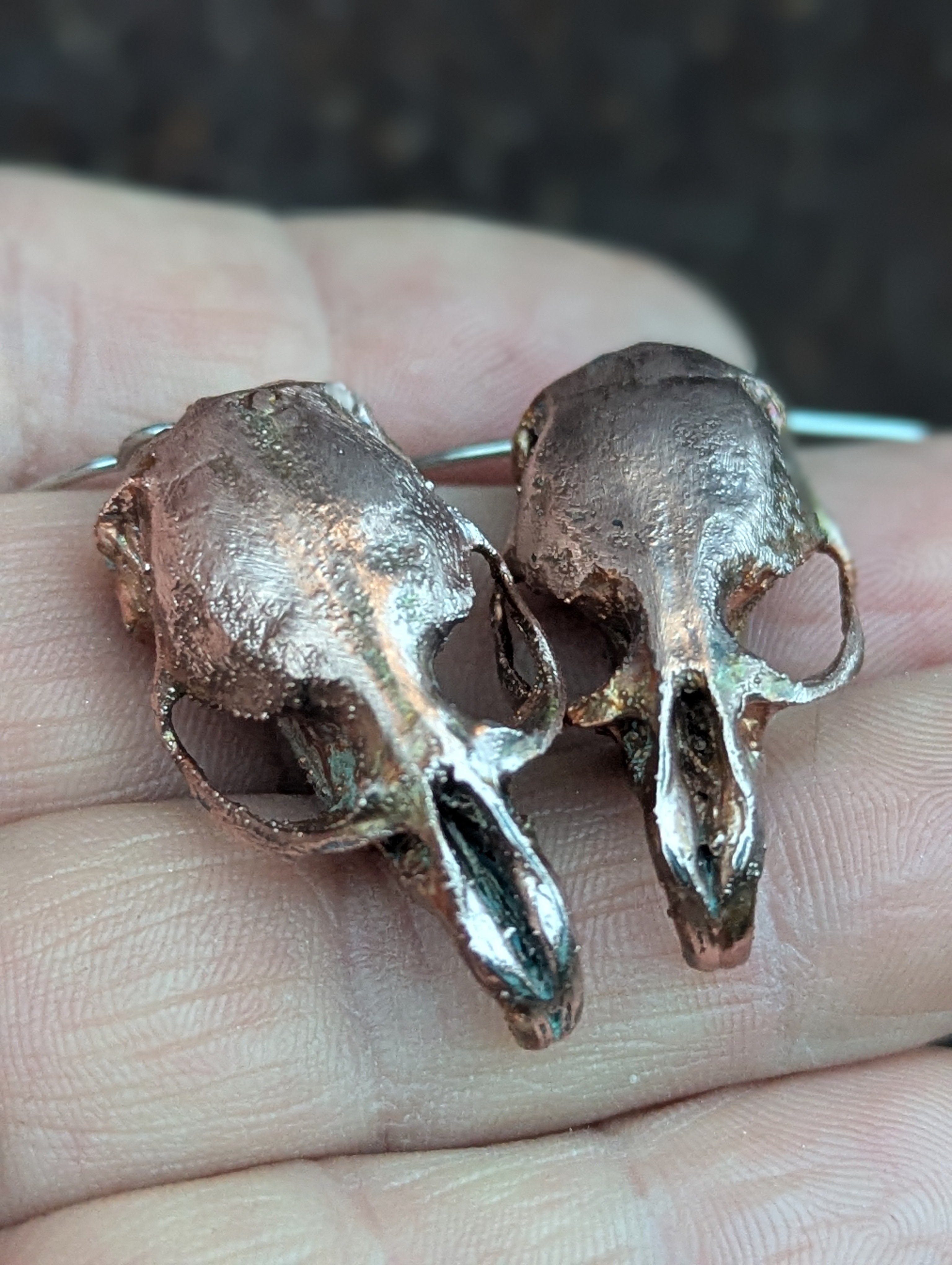 Rat Skulls