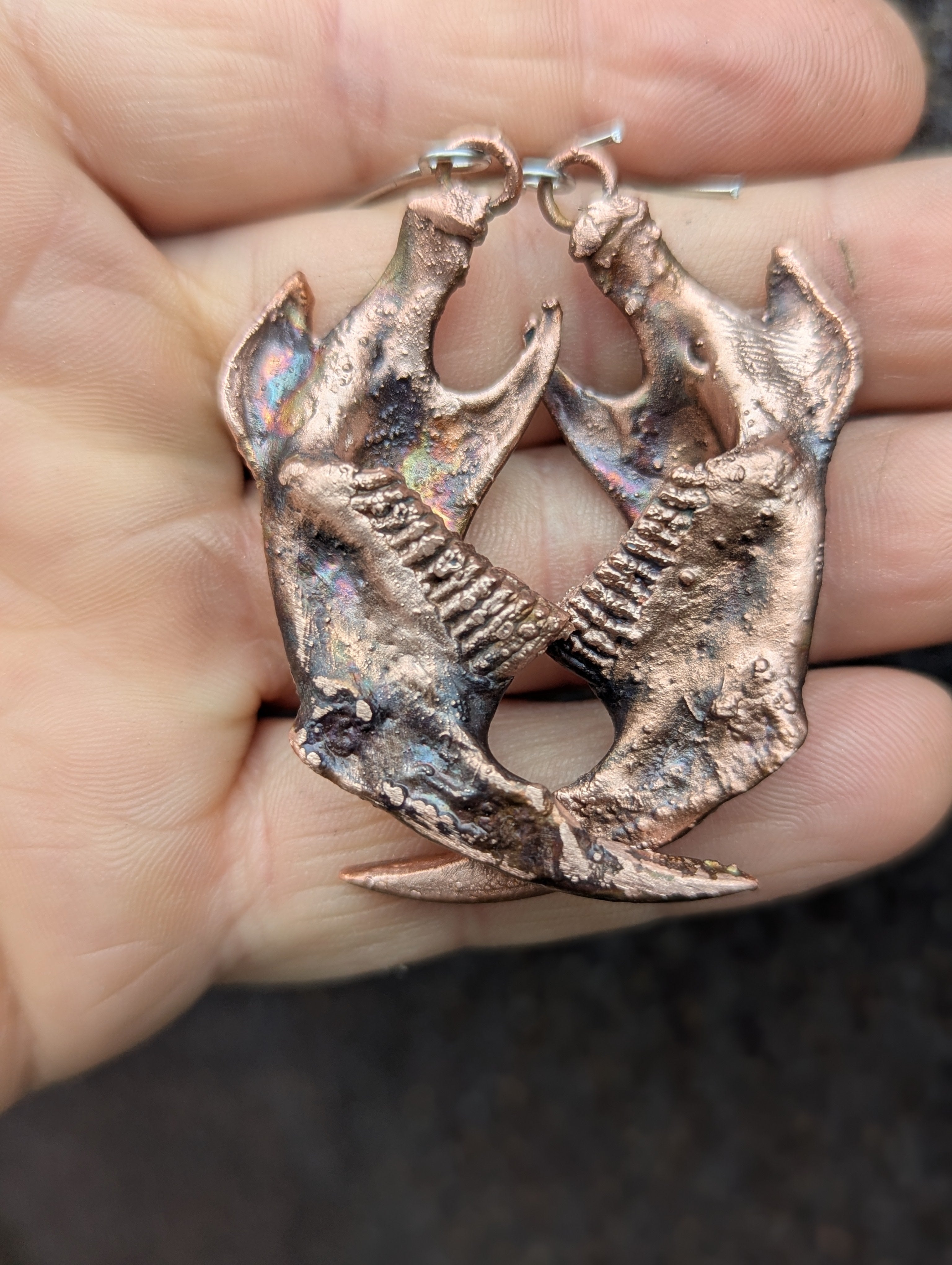 Muskrat Jaws Earrings