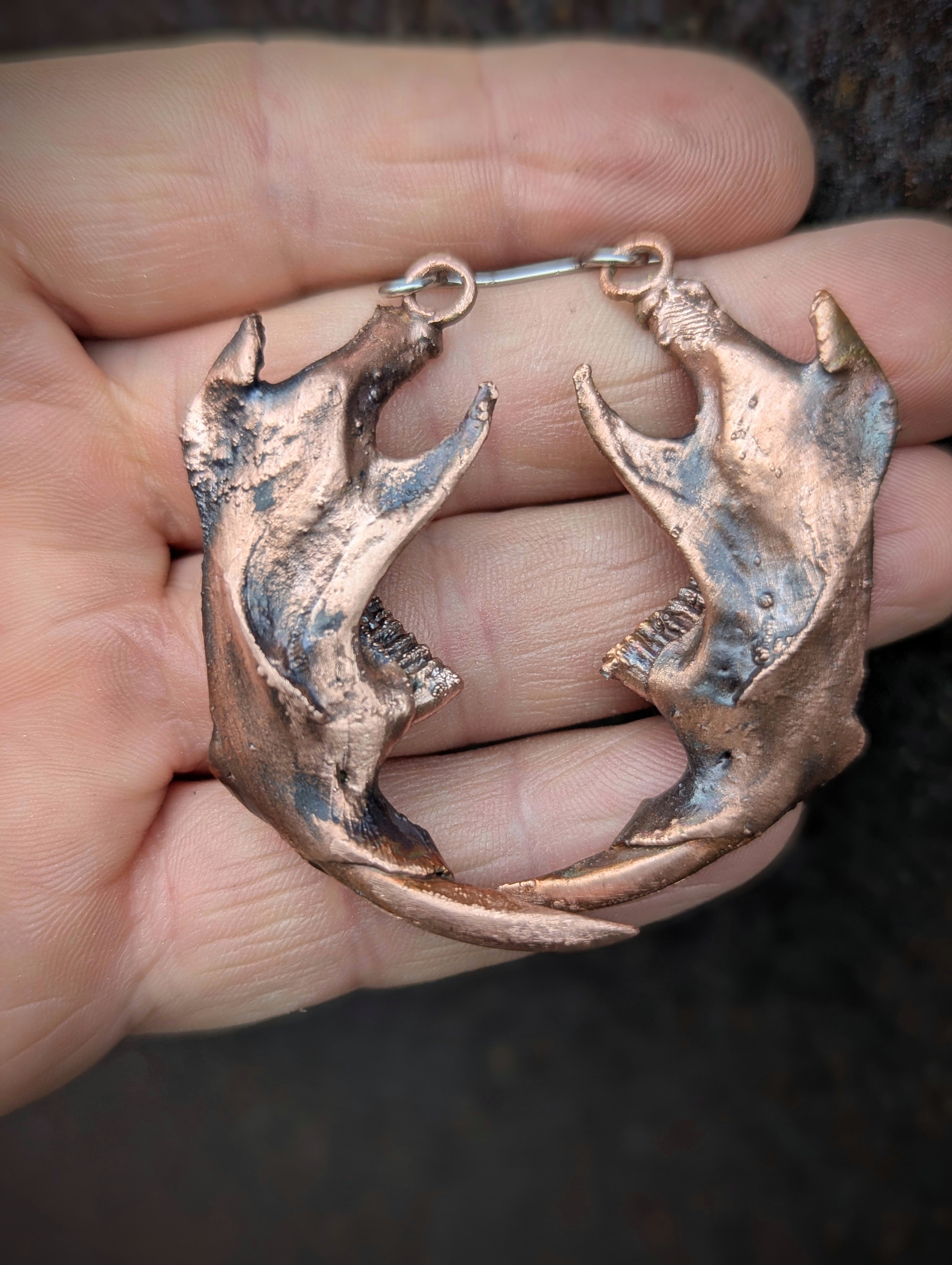 Muskrat Jaws Earrings