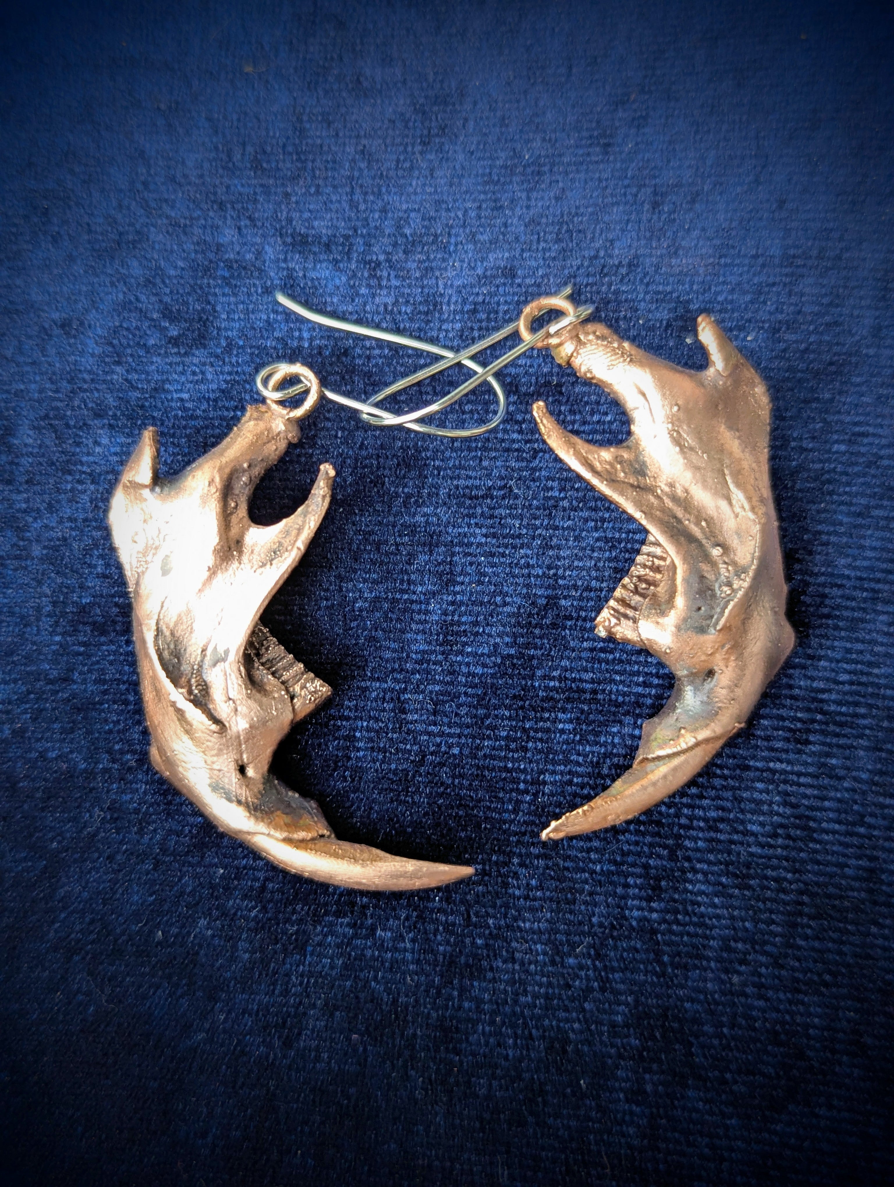 Muskrat Jaws Earrings