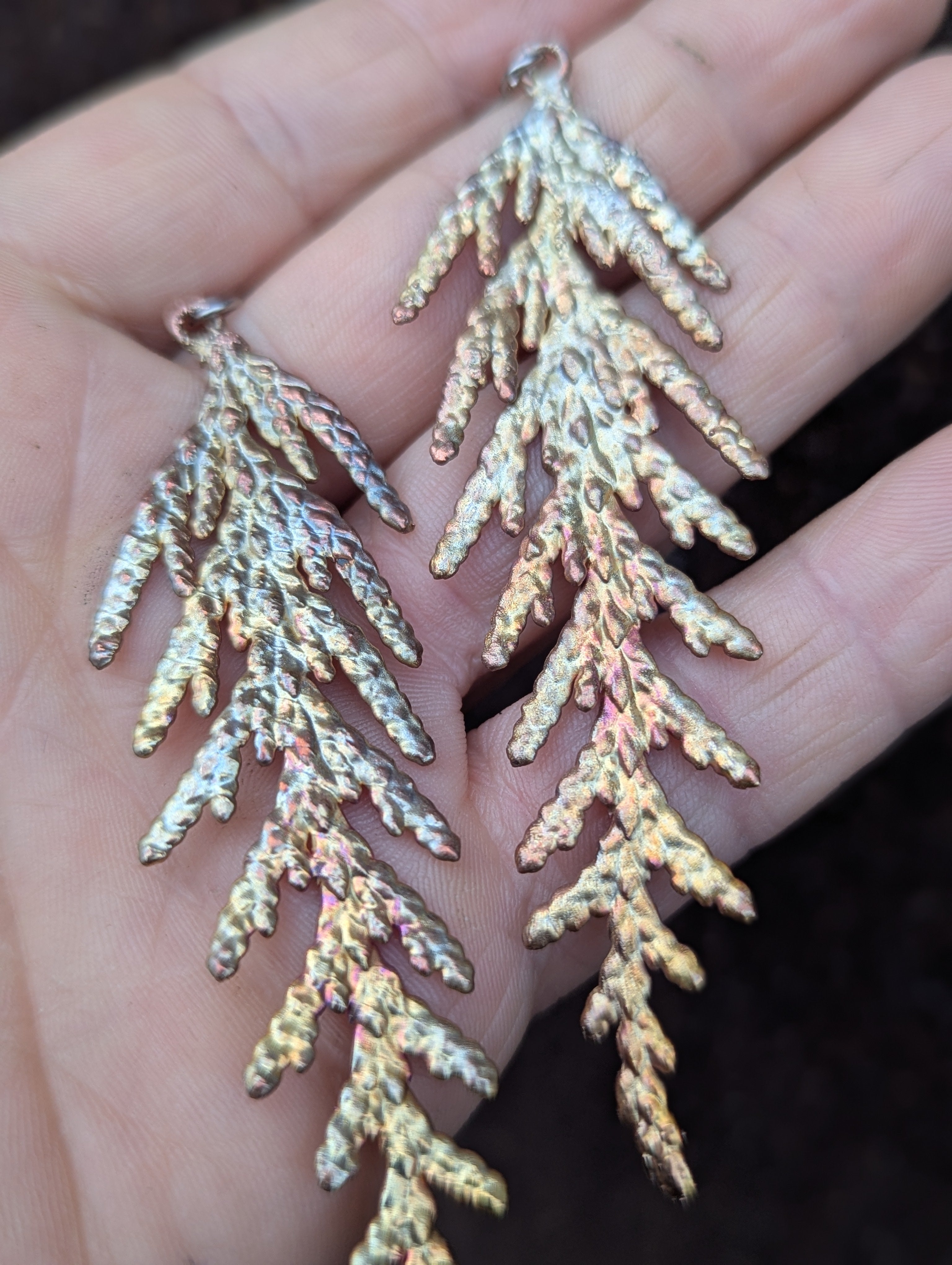Western Redcedar Earrings