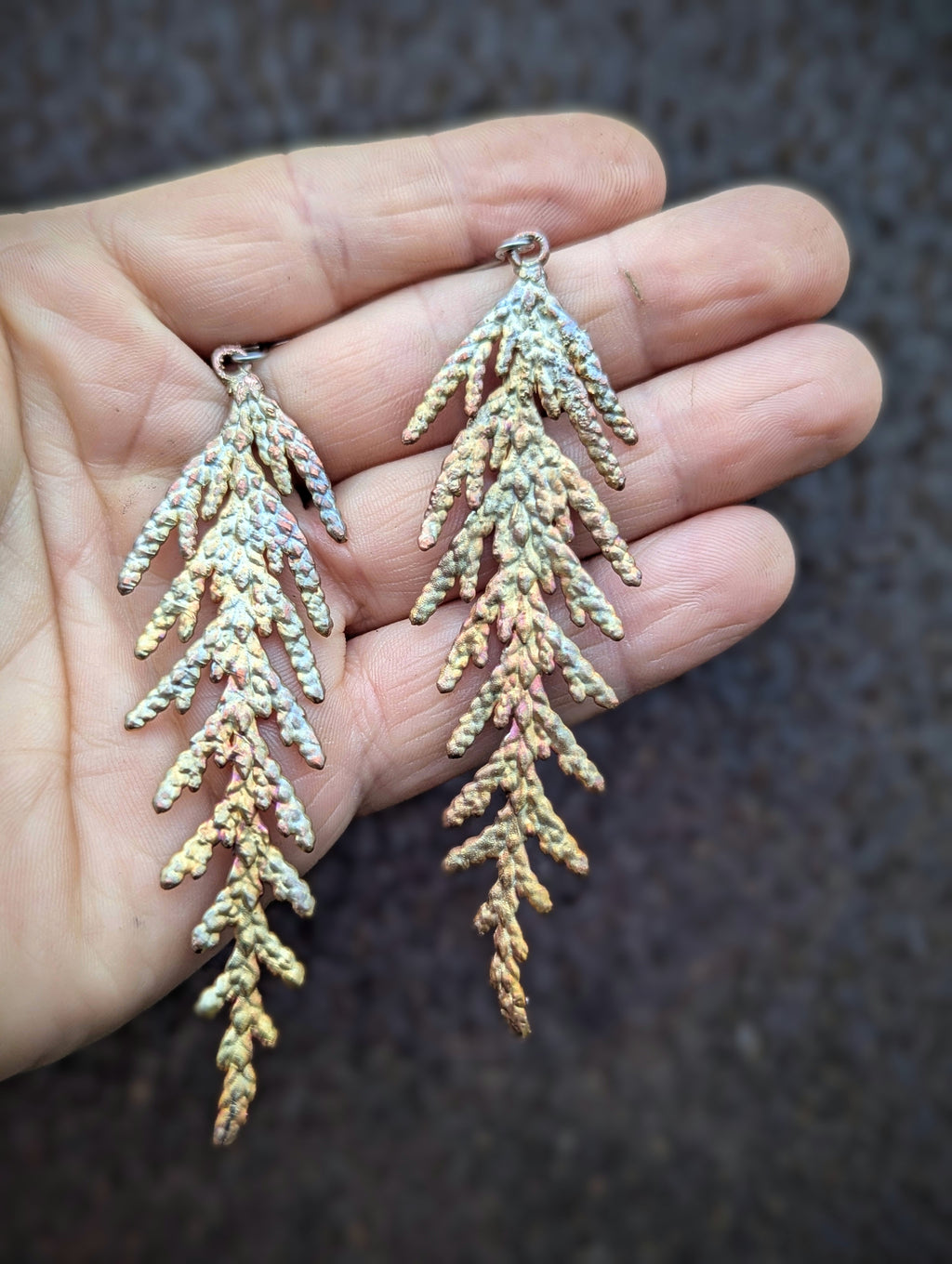 Western Redcedar Earrings