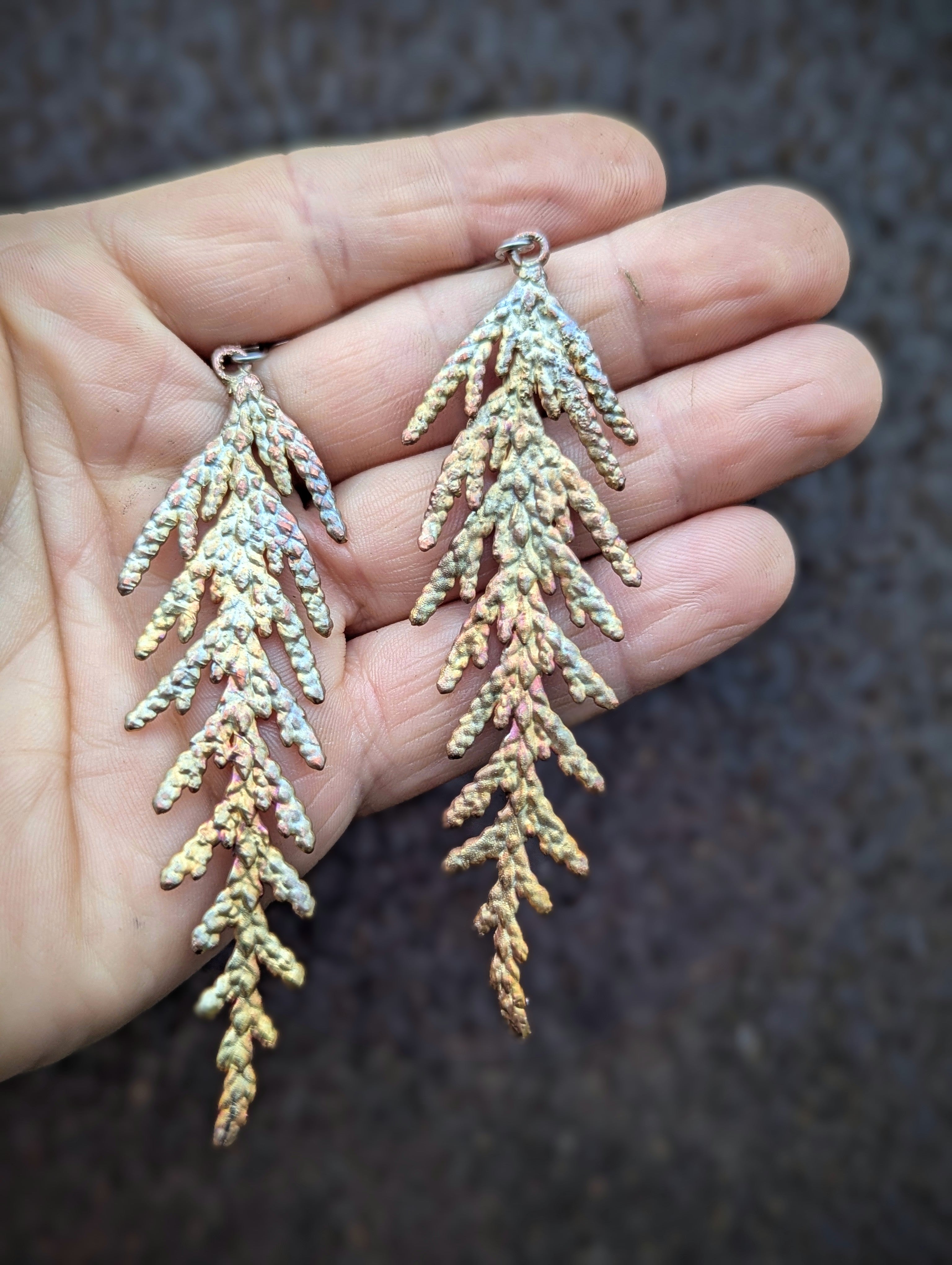 Western Redcedar Earrings