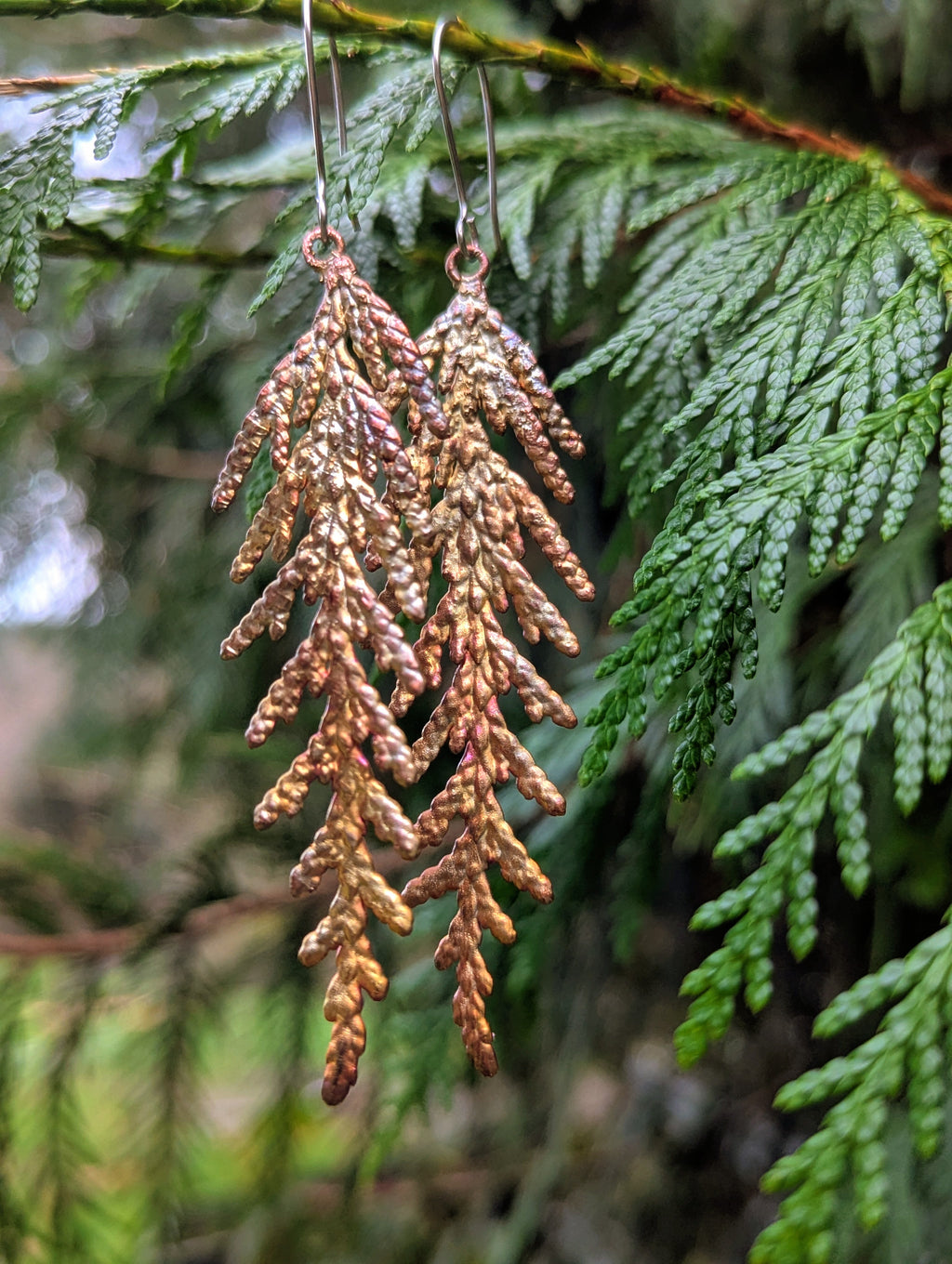 Western Redcedar Earrings