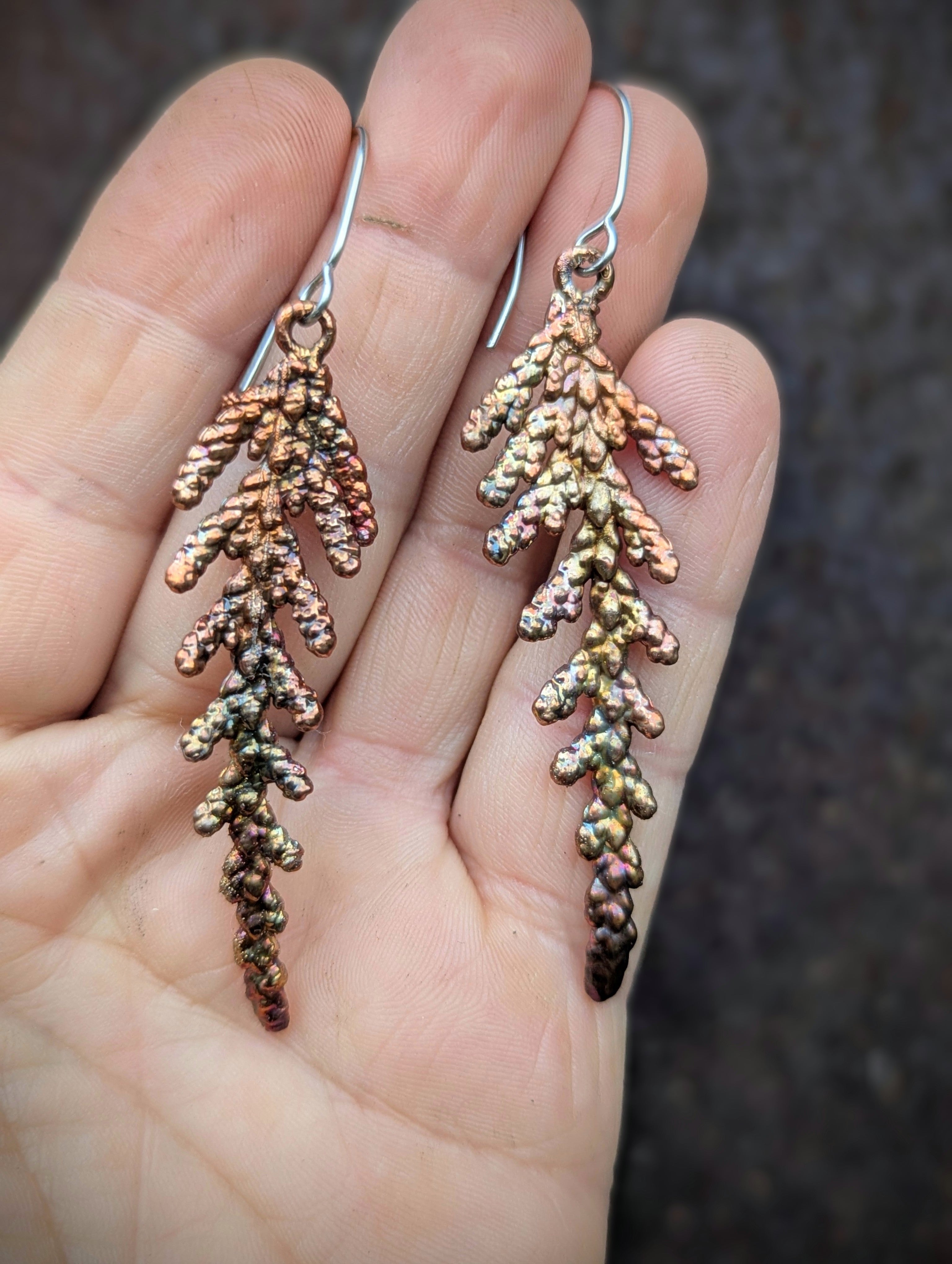 Western Redcedar Earrings