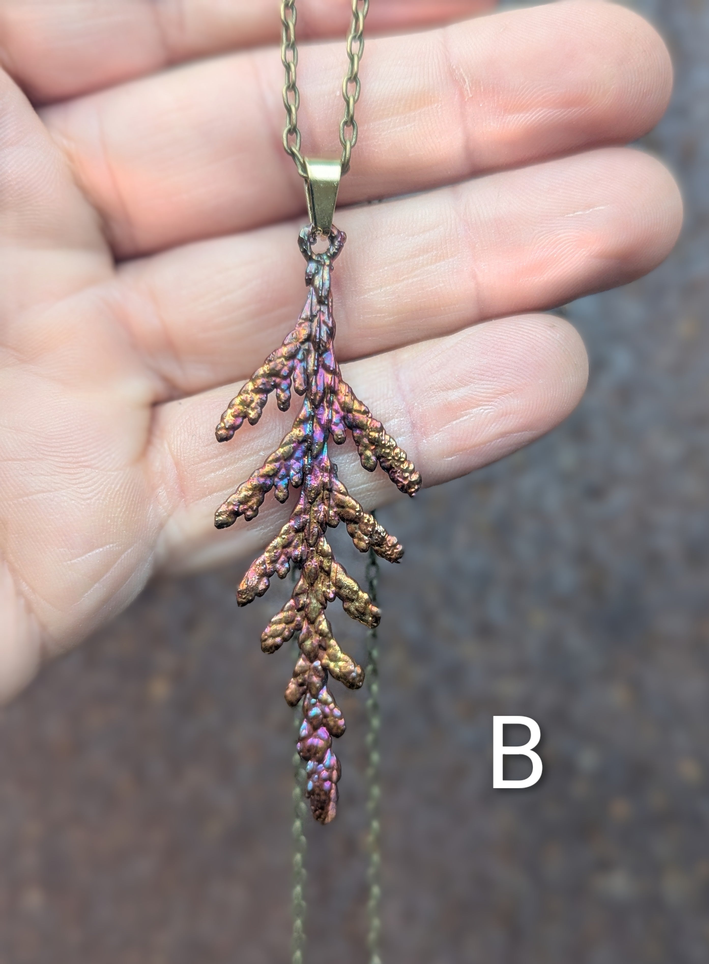 Western Redcedar Necklace