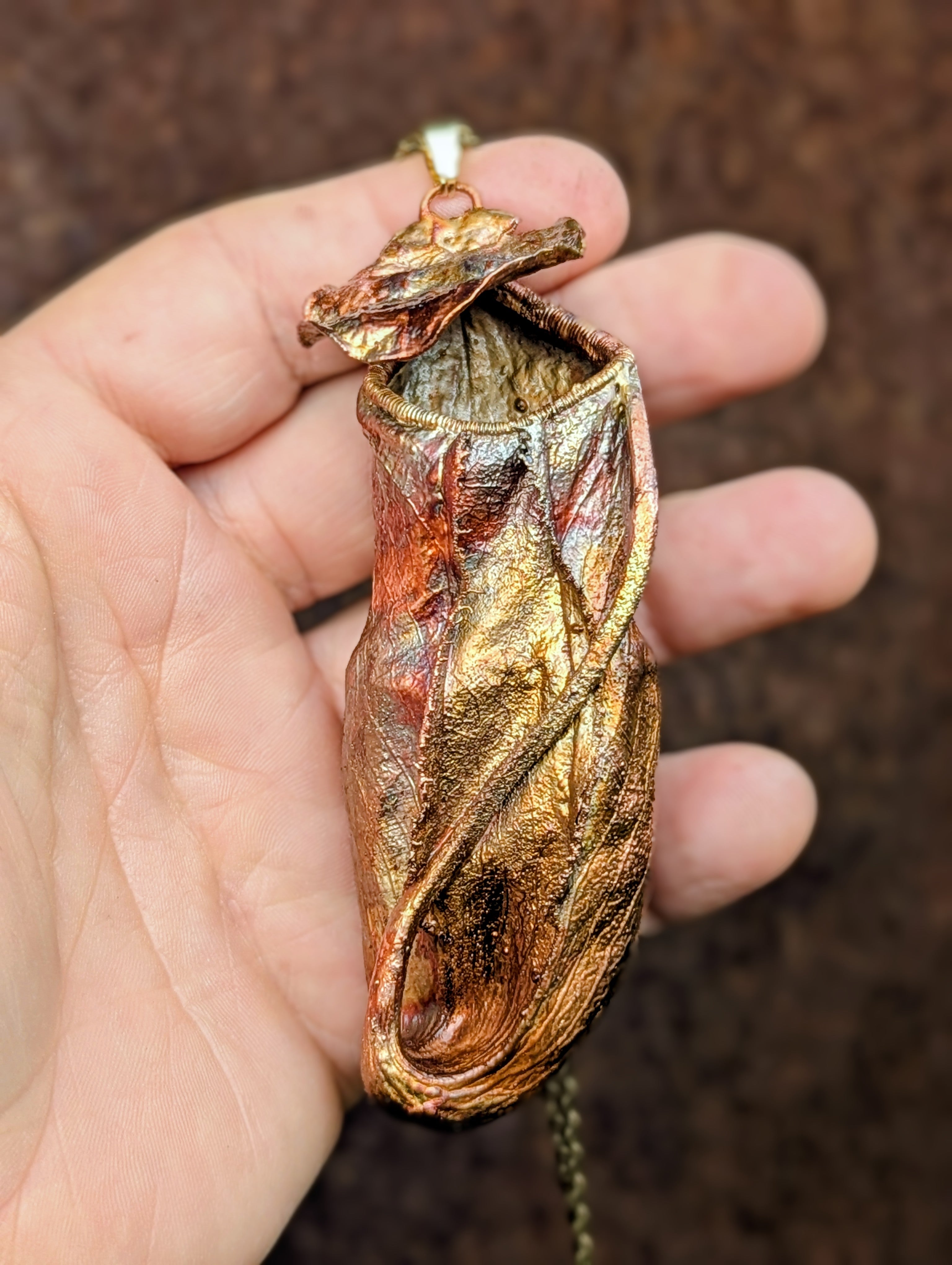 Nepenthes Carnivorous Pitcher
