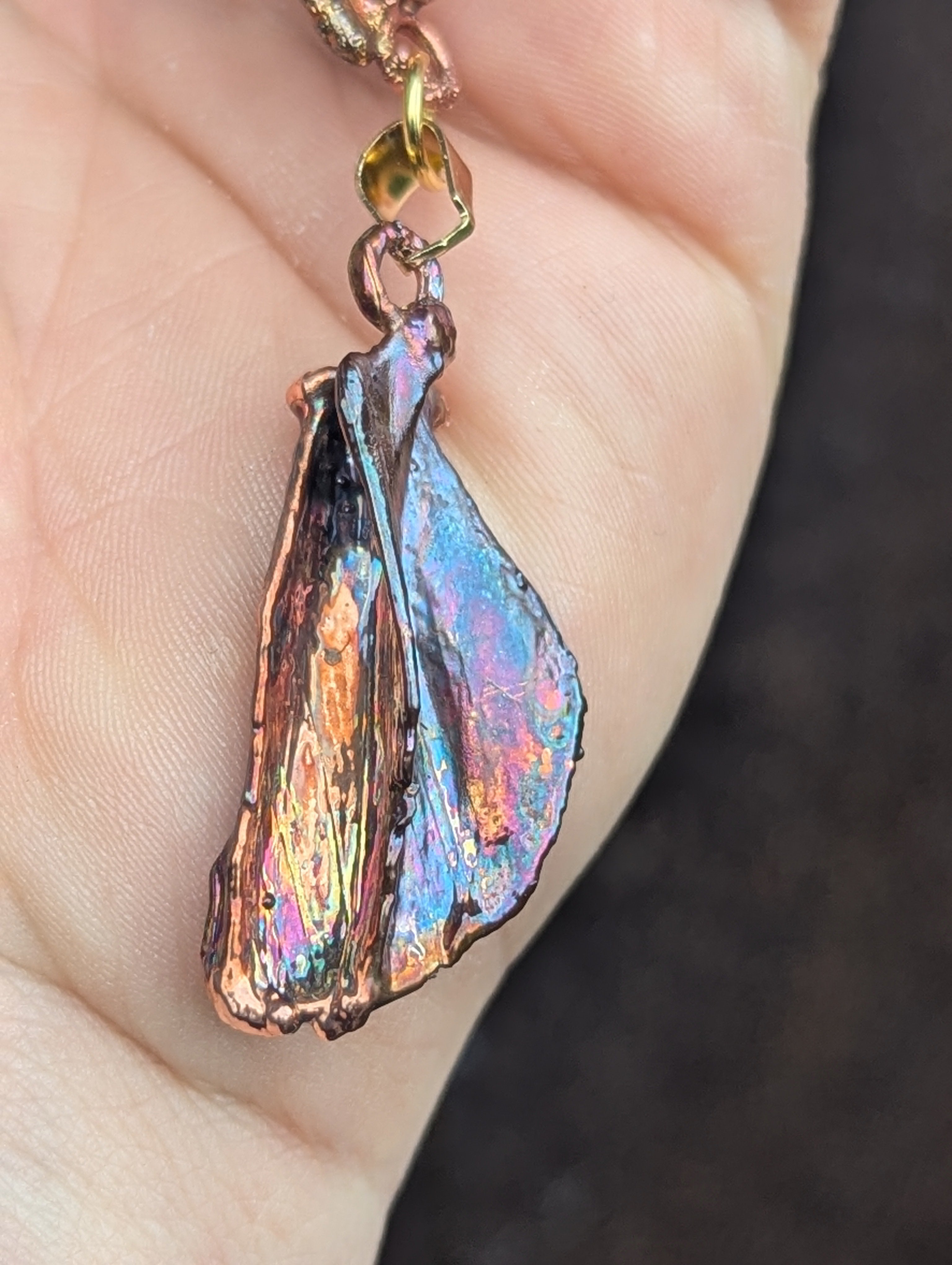 Rabbit Sacrum with Suspended Scapula