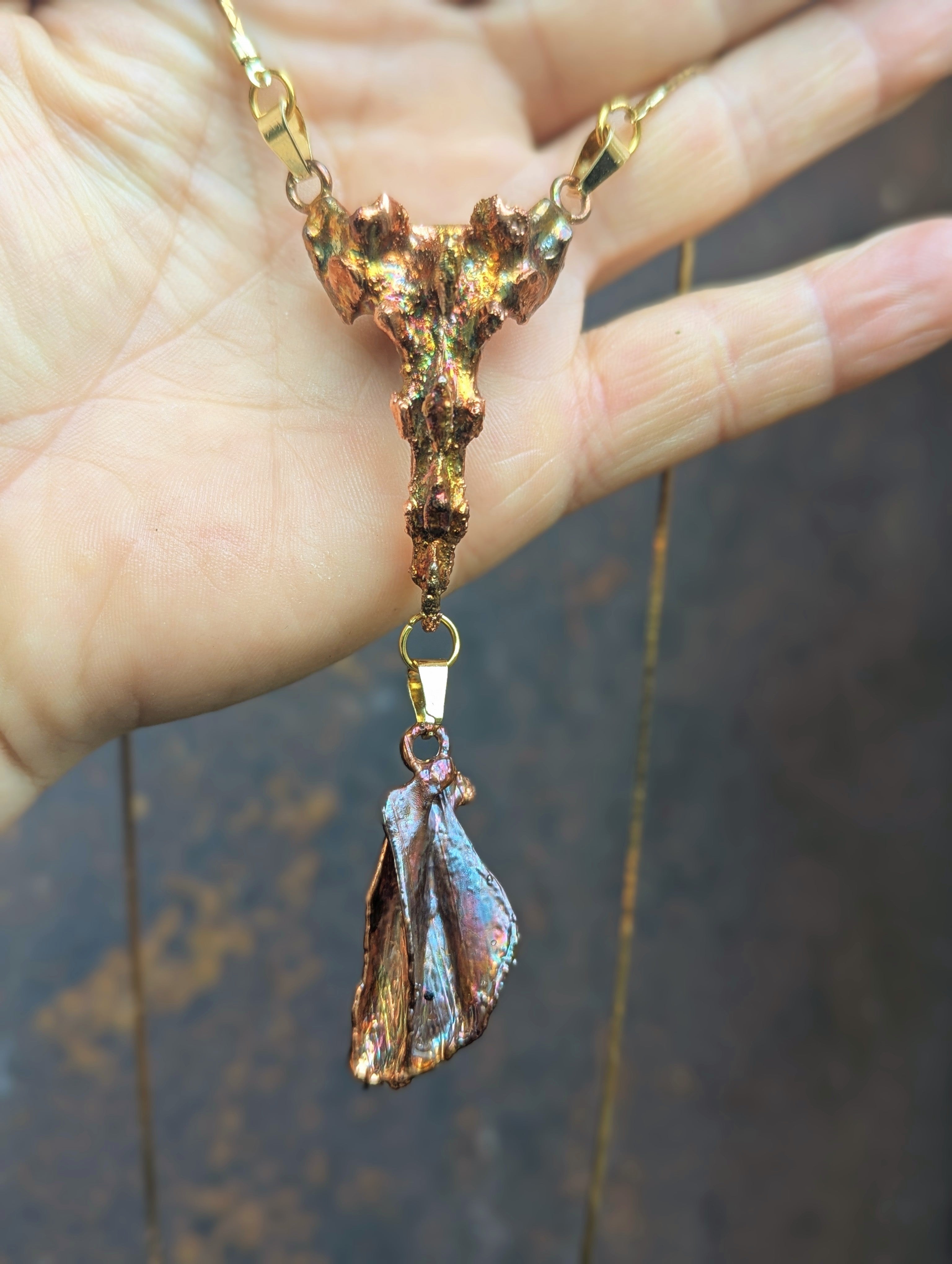 Rabbit Sacrum with Suspended Scapula