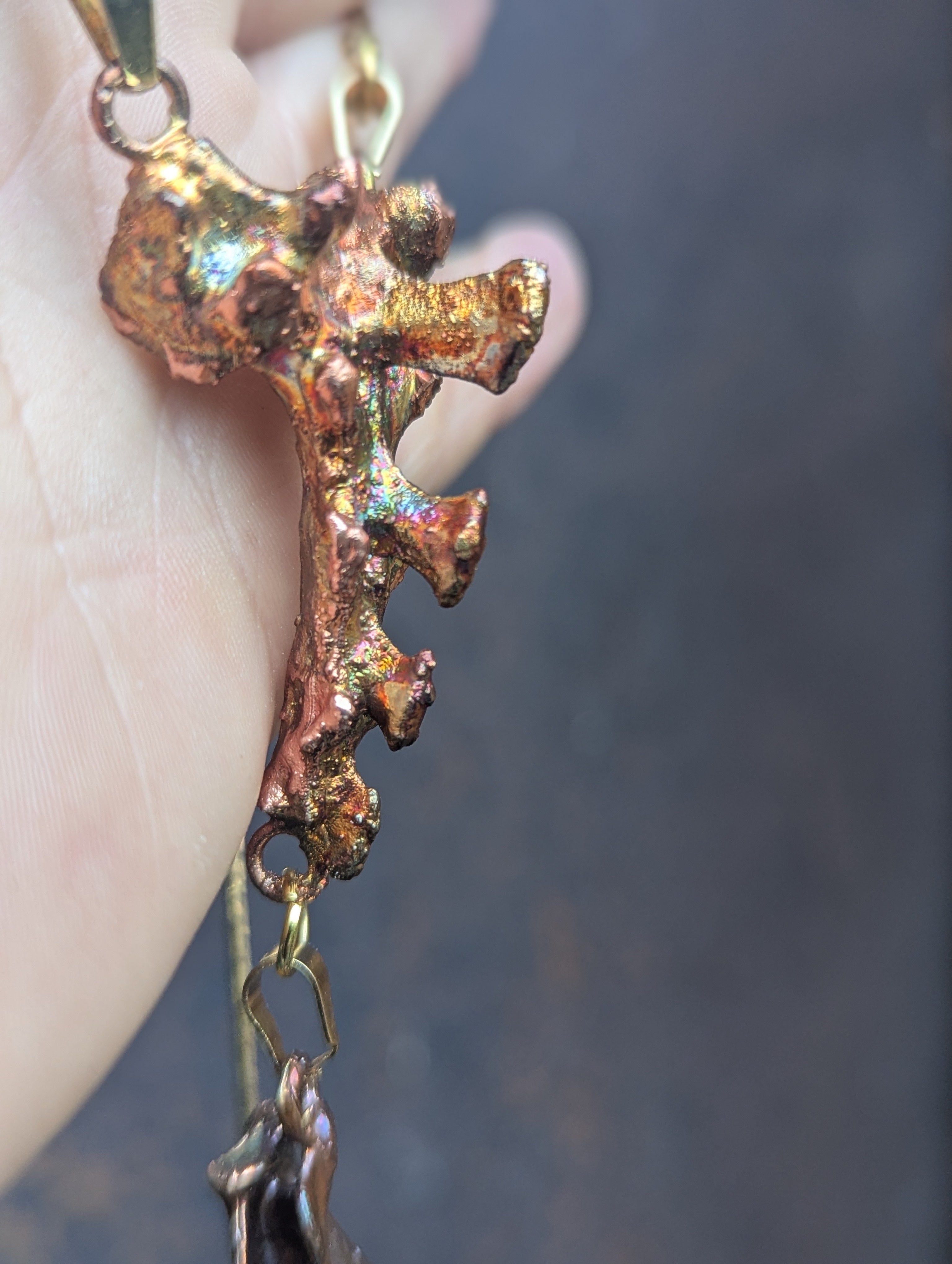 Rabbit Sacrum with Suspended Scapula