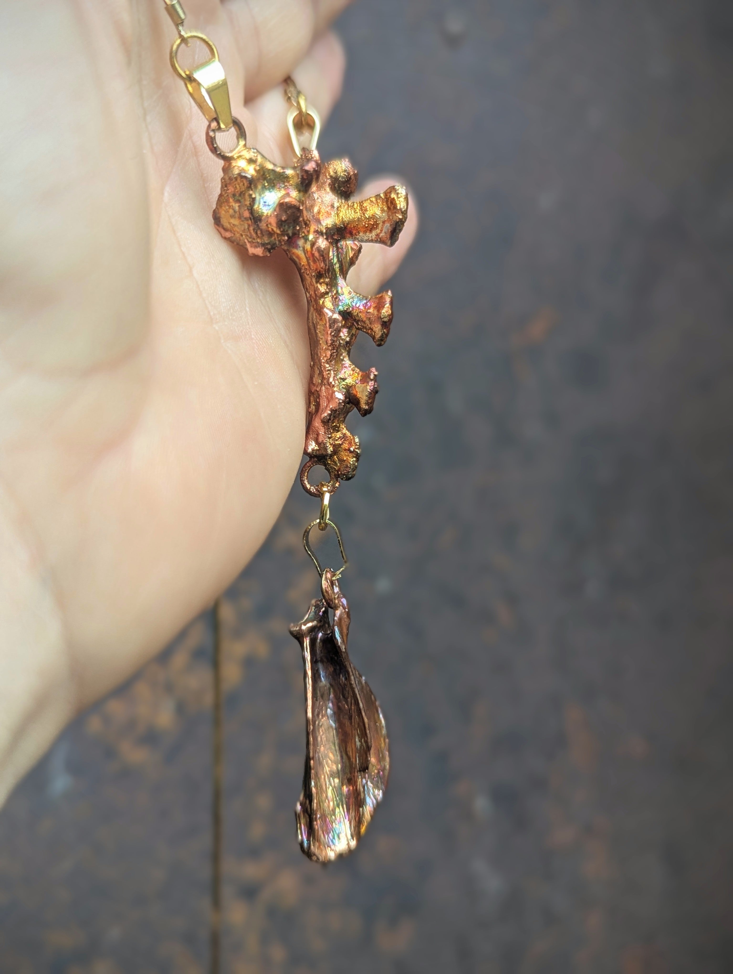 Rabbit Sacrum with Suspended Scapula