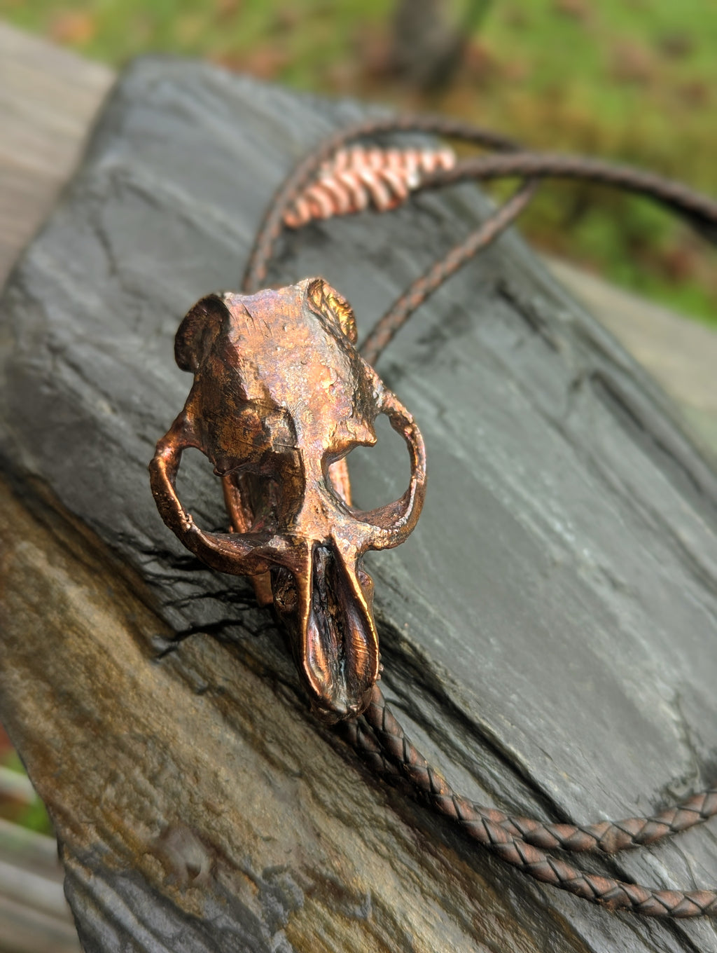Muskrat Skull Bolo Tie