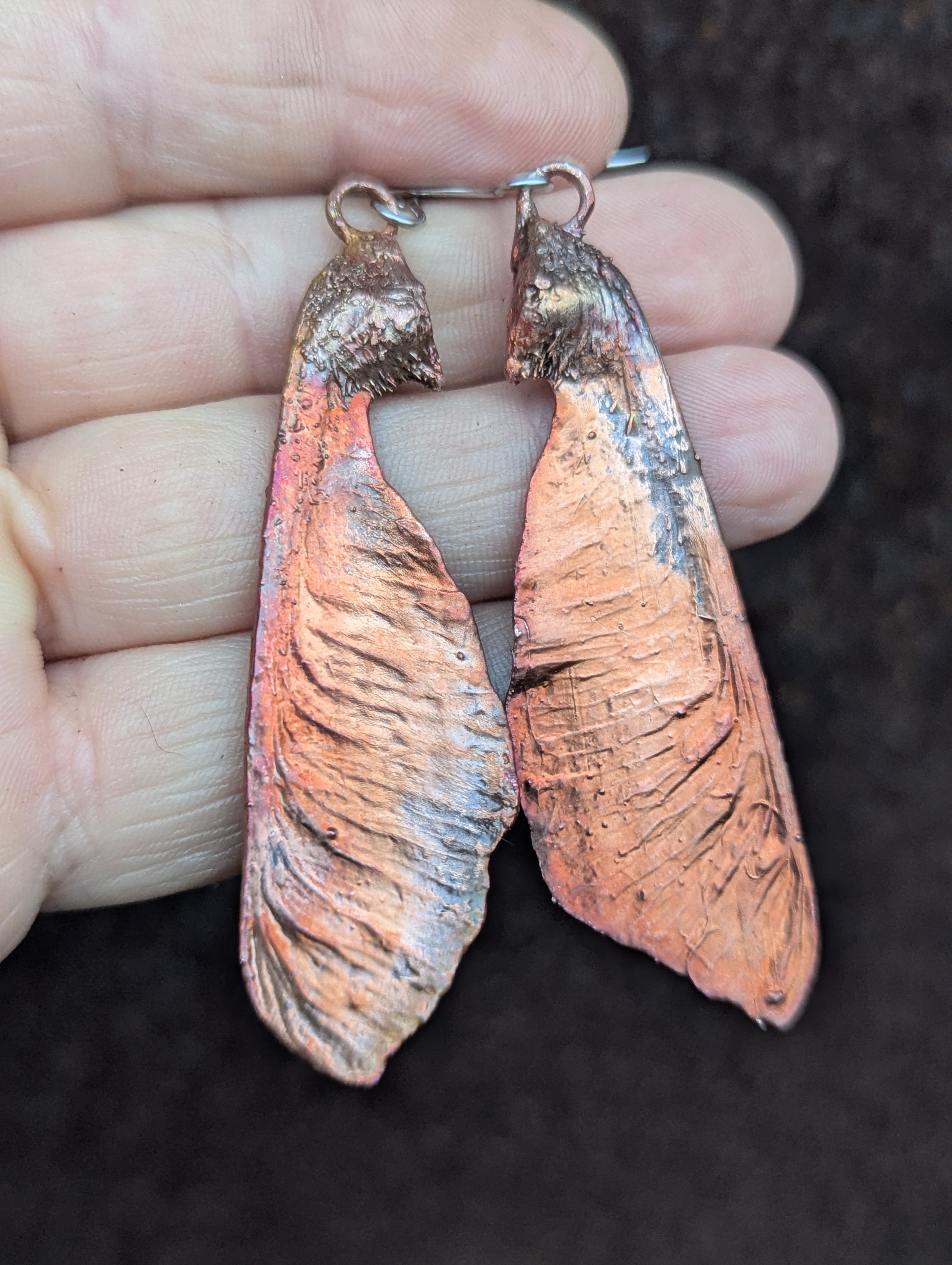 Bigleaf Maple Samaras