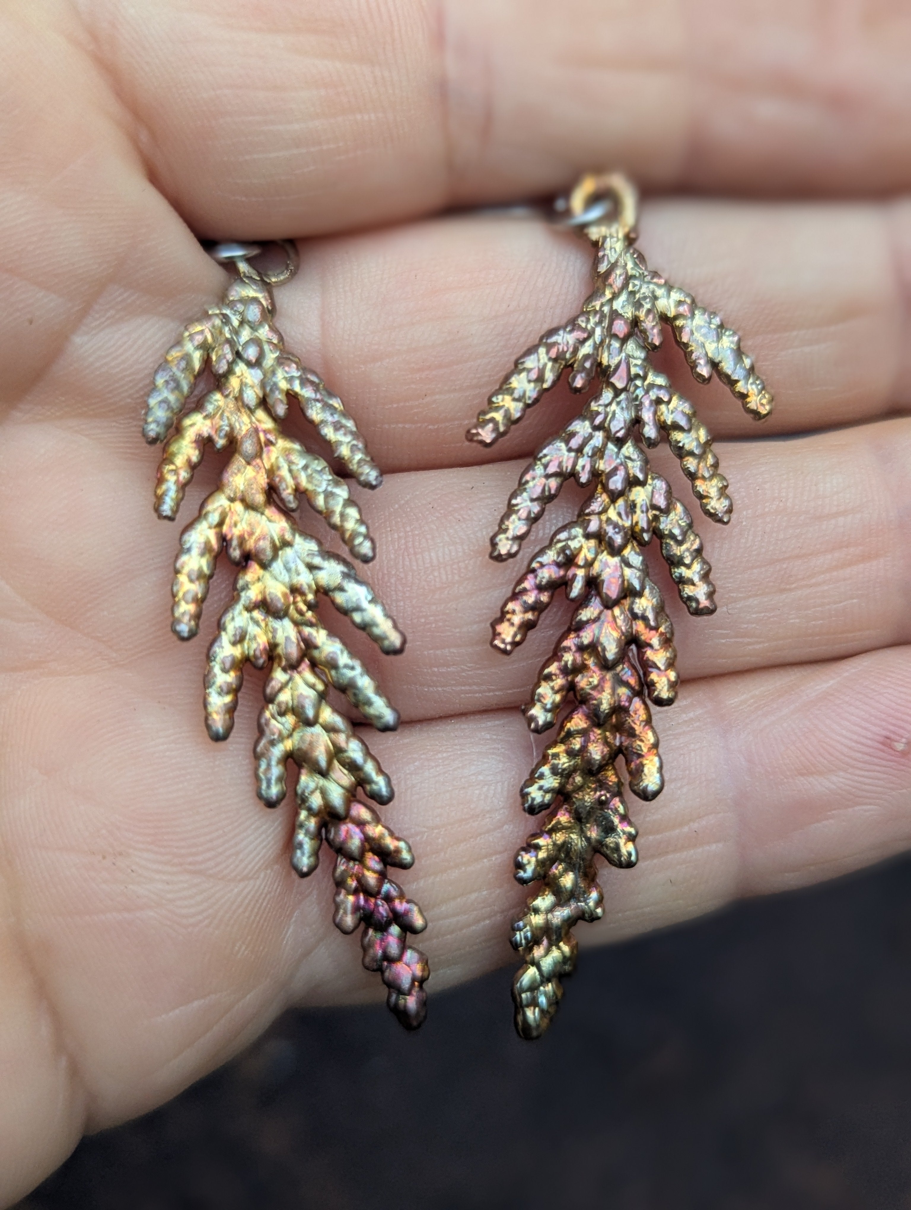 Western Redcedar Earrings