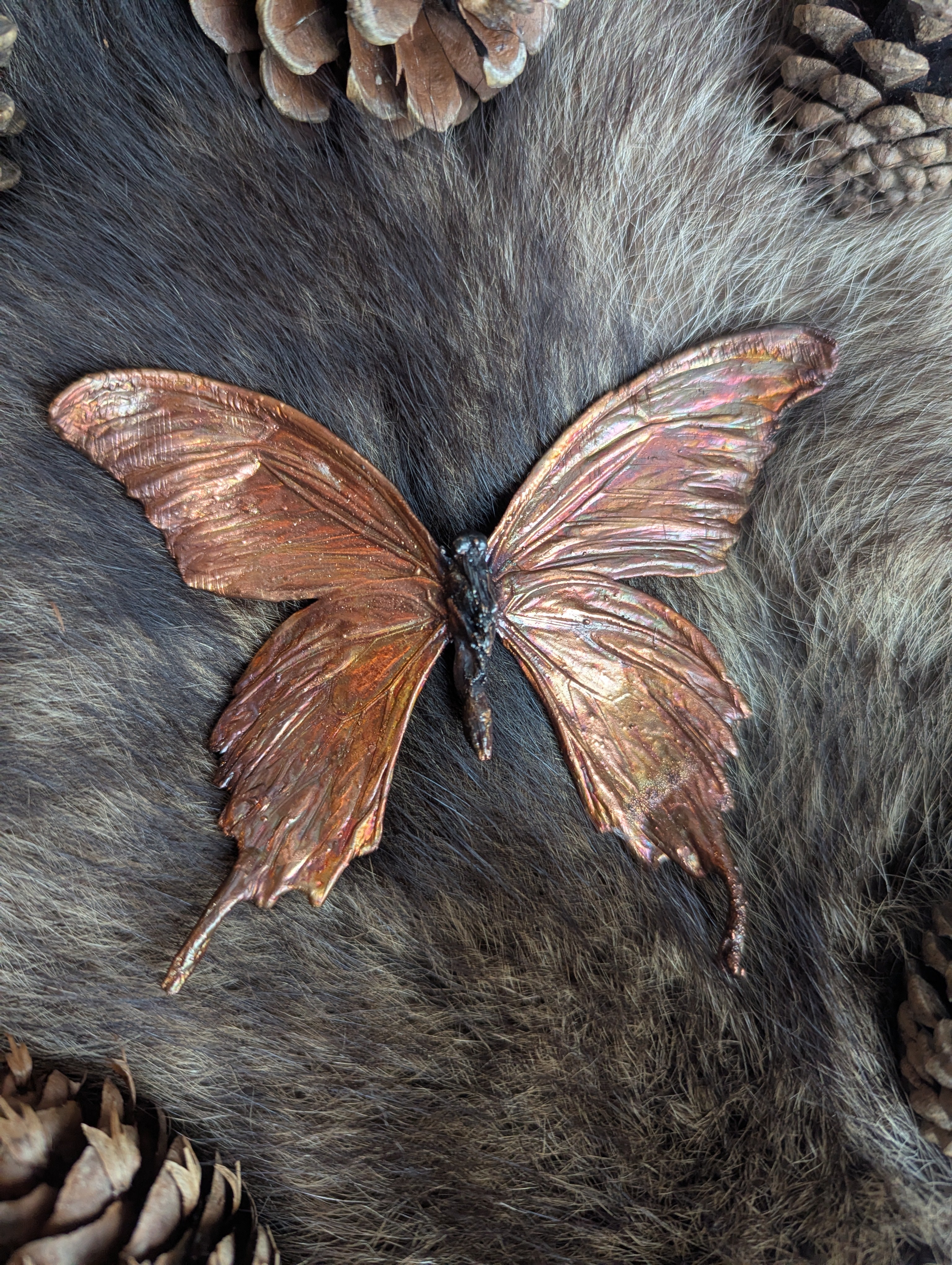 Giant Swallowtail Butterfly in Copper
