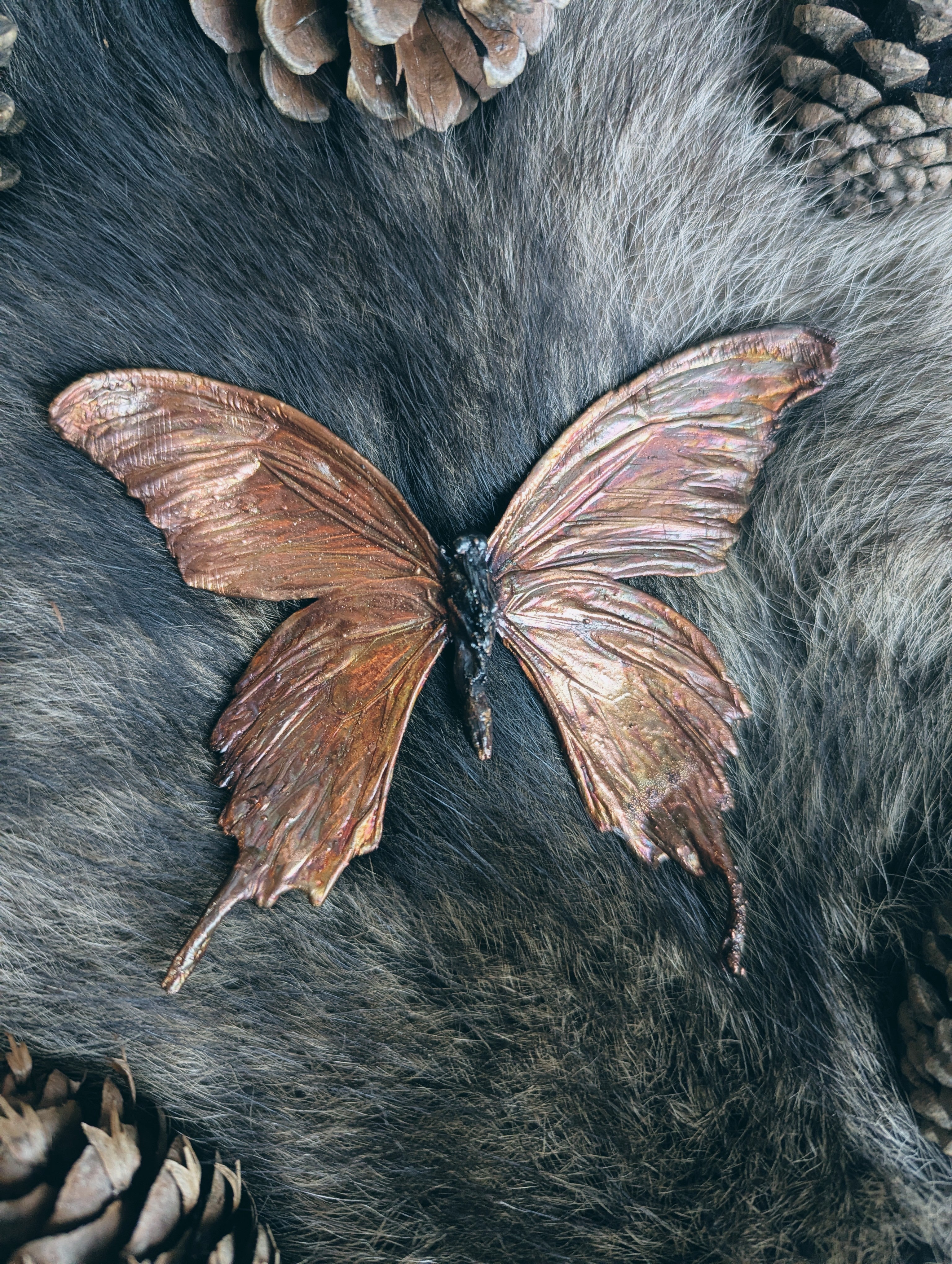 Giant Swallowtail Butterfly in Copper