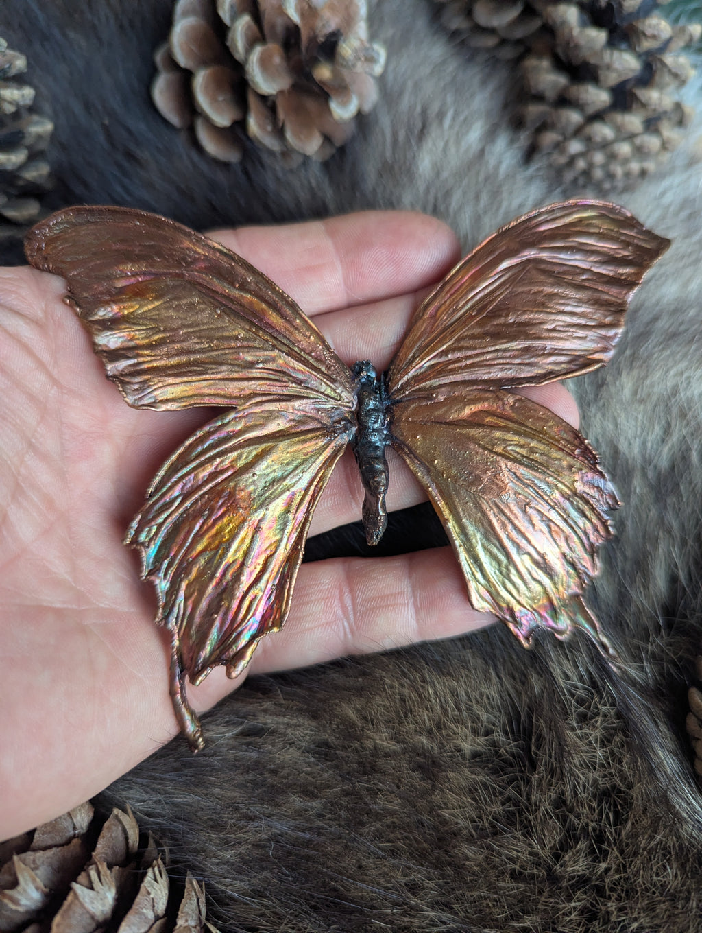 Giant Swallowtail Butterfly in Copper