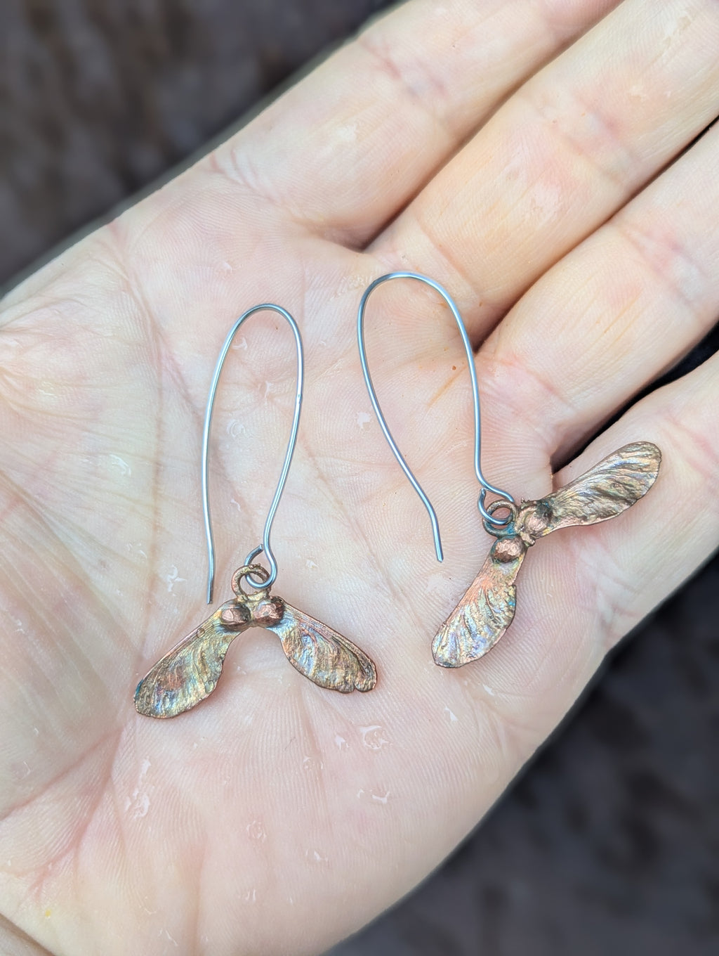 Japanese Maple Samaras