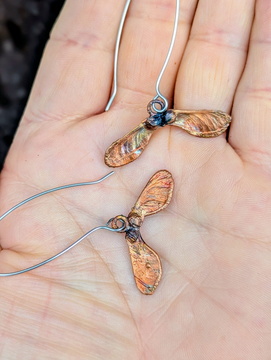 Japanese Maple Samaras