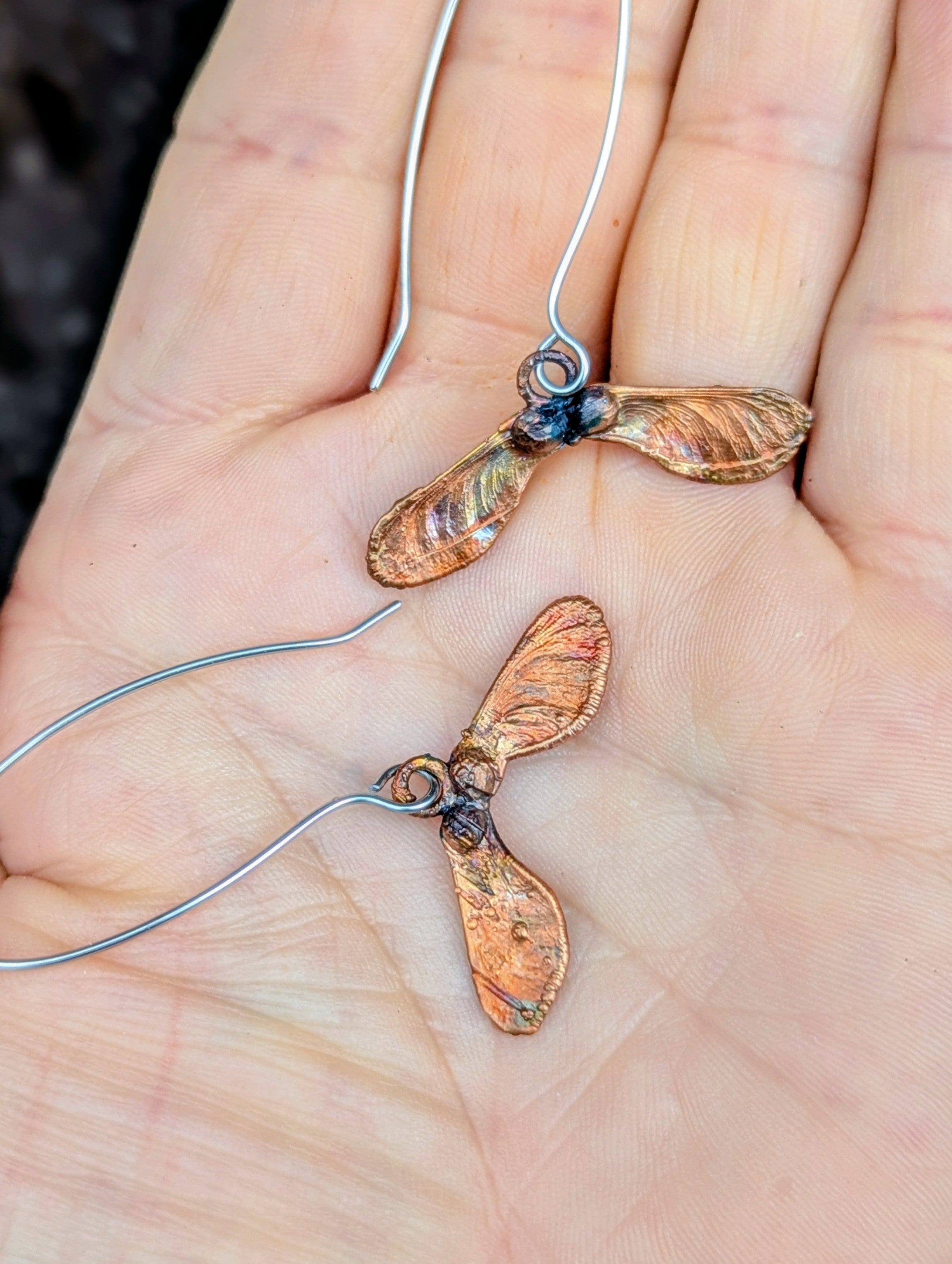 Japanese Maple Samaras