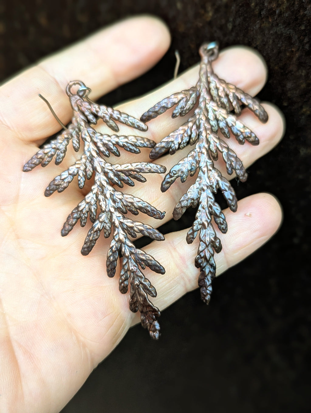 Thuja plicata "Western Redcedar" earrings
