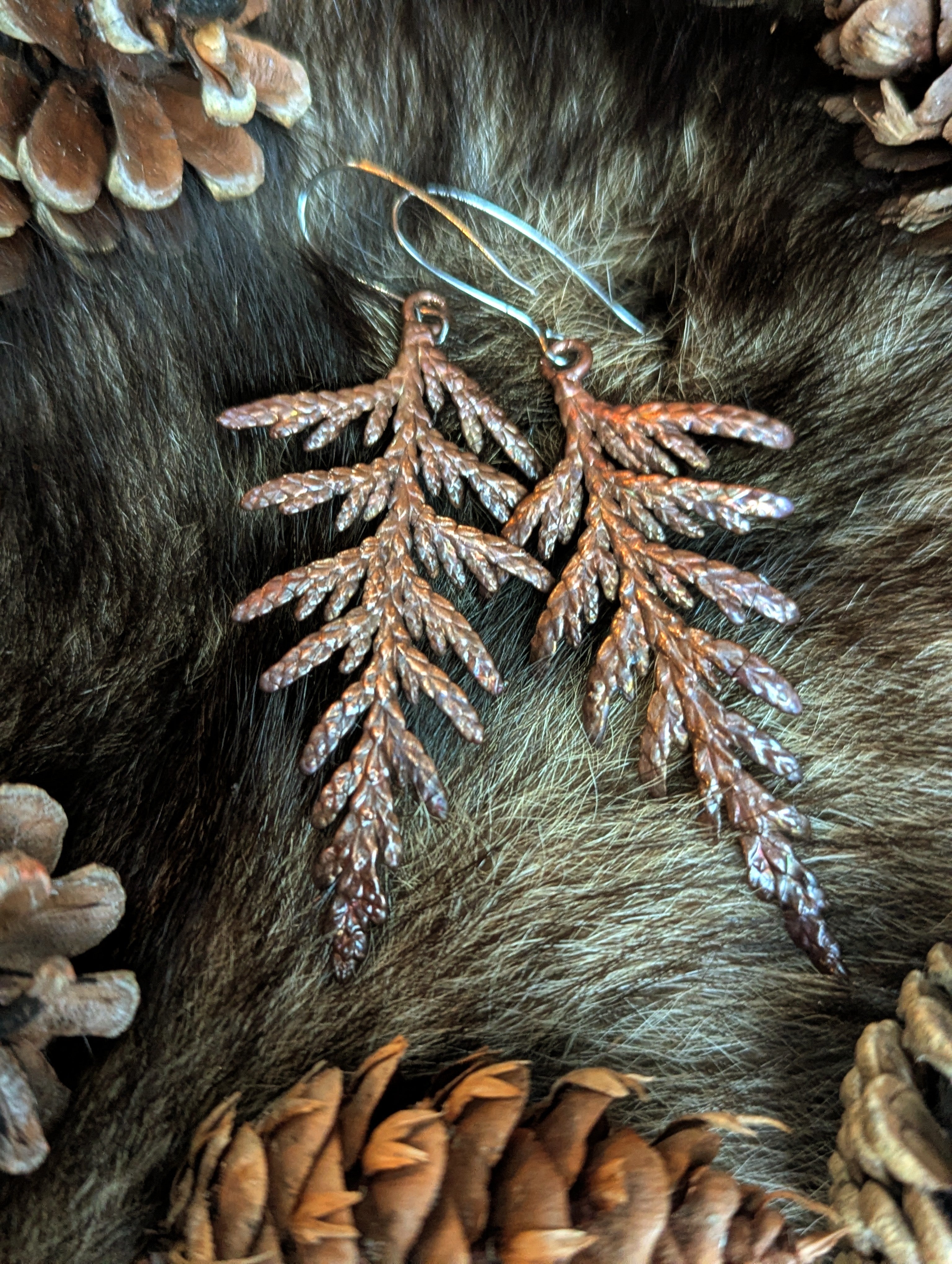 Thuja plicata "Western Redcedar" earrings