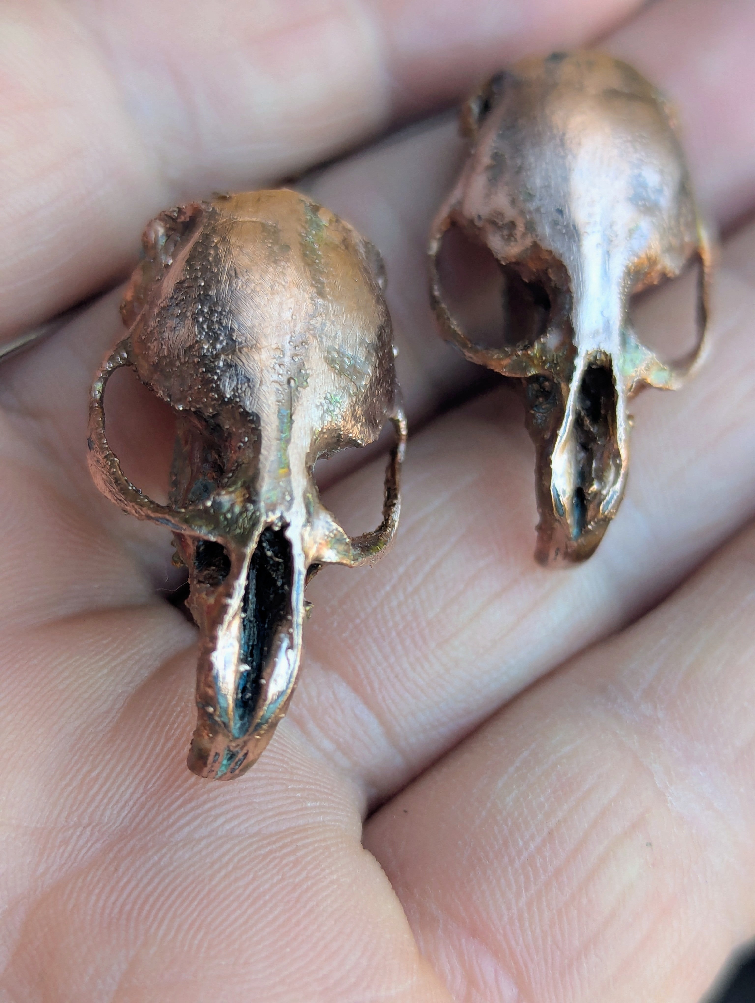 Rat Skulls